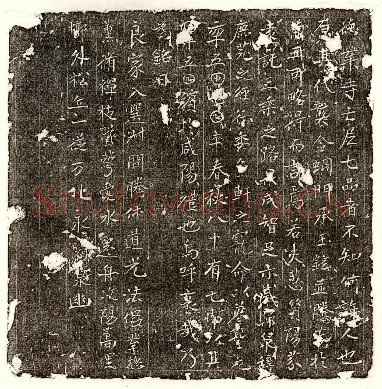 唐七品宫尼墓誌