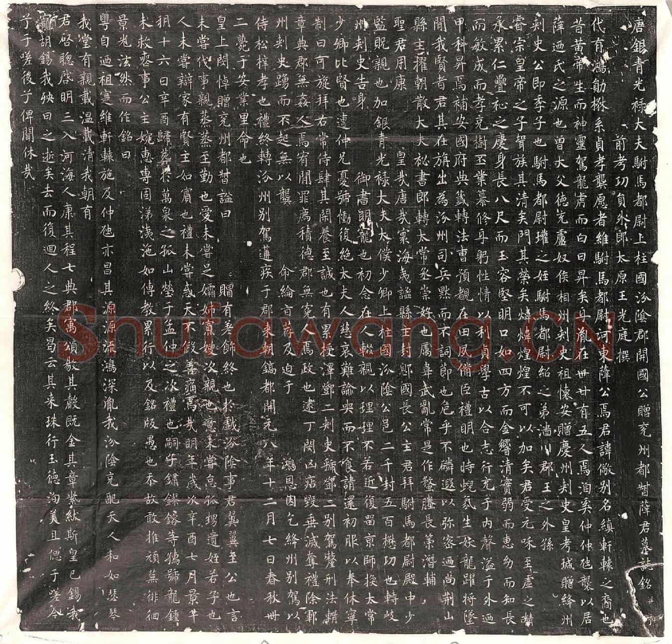 唐薛儆墓誌(唐银青光禄大夫驸马都尉上柱国汾阴郡开国公赠兖州都督薛君墓誌铭并序)