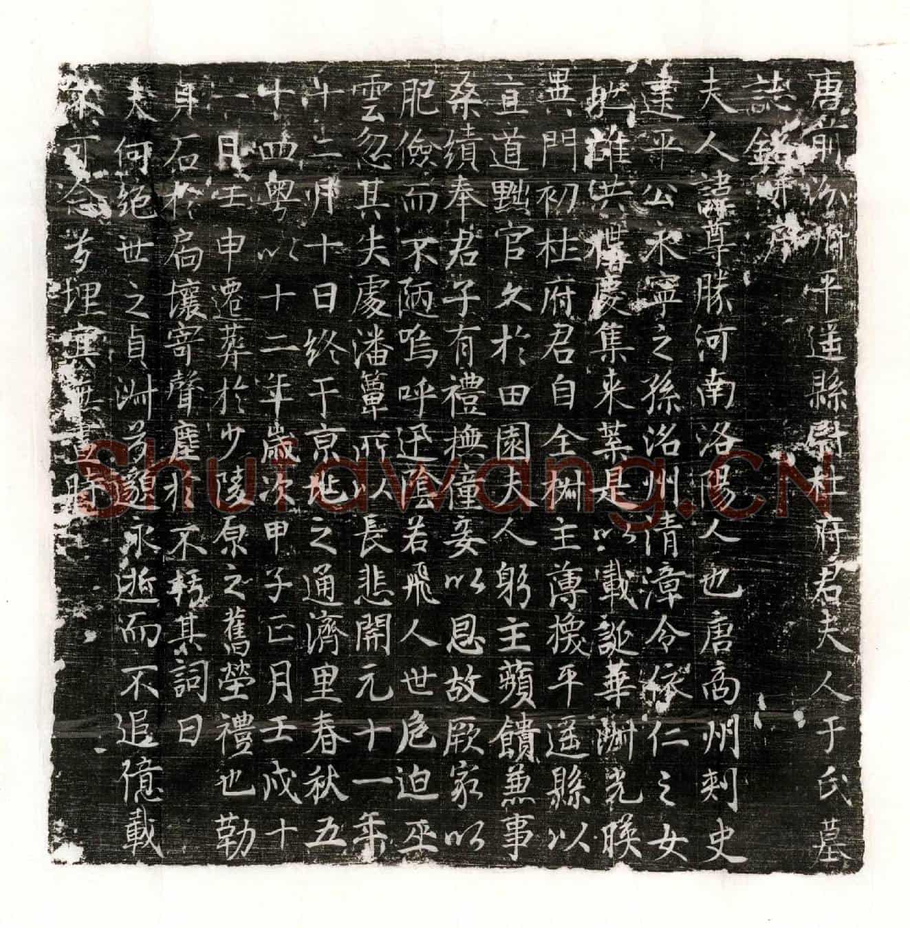 唐杜君妻于尊胜墓誌(唐前汾州平遥县尉杜府君夫人于氏墓誌铭并序)