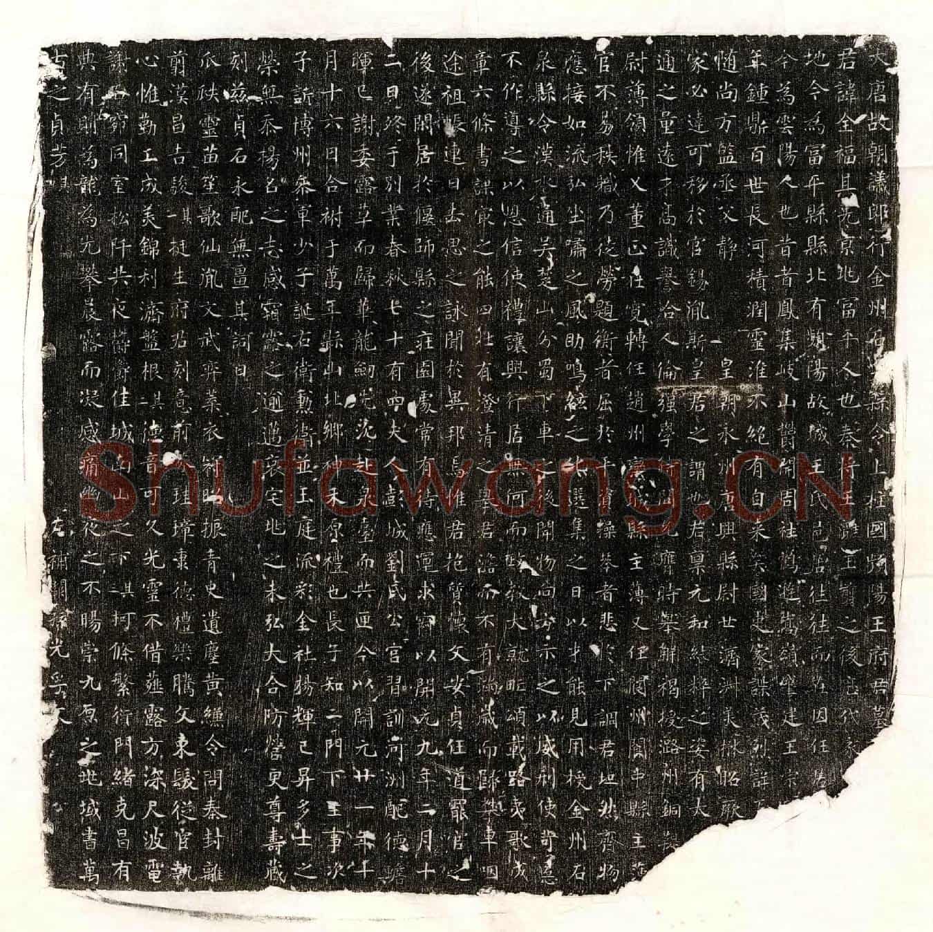 唐王全福墓誌(大唐故朝议郎行金州石【泉】县令上柱国频阳王府君墓【/】)