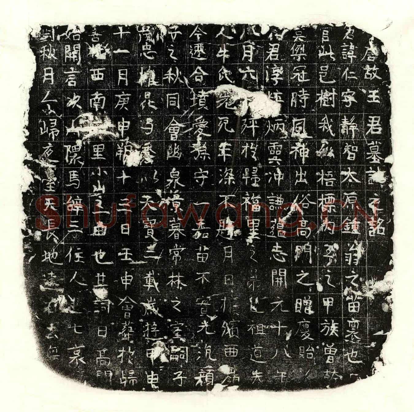 唐王仁墓誌(唐故王君墓誌之铭)