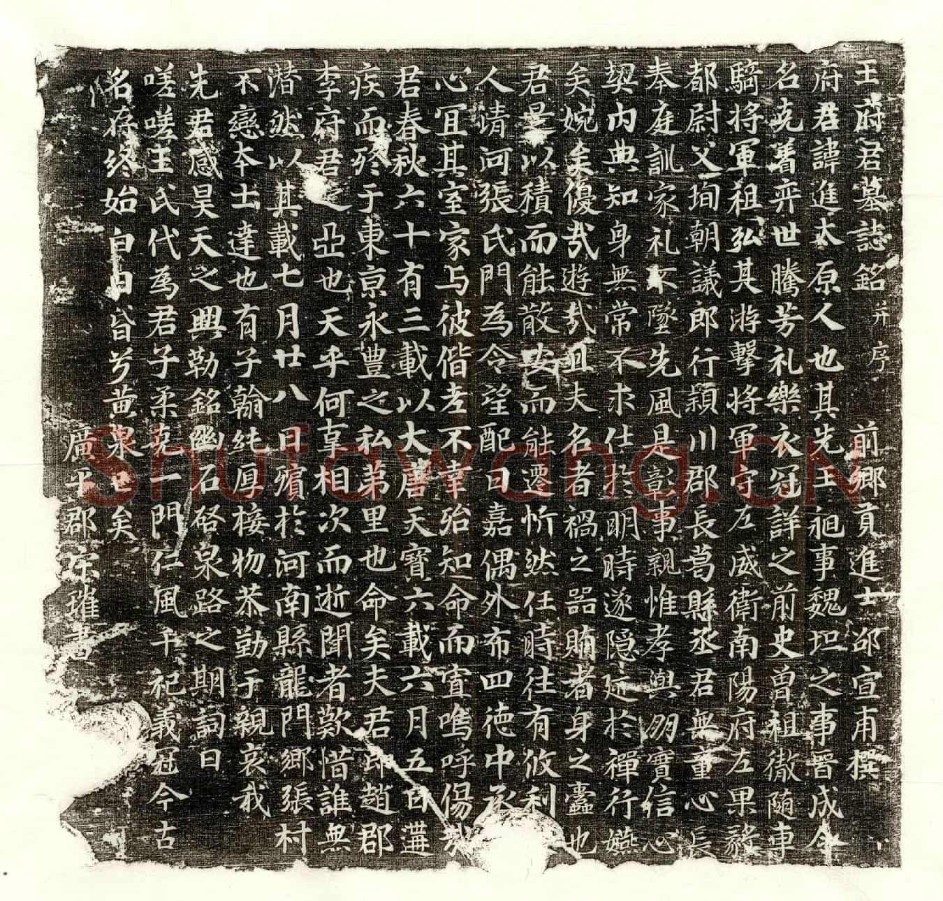 唐王进墓誌(王府君墓誌铭并序)
