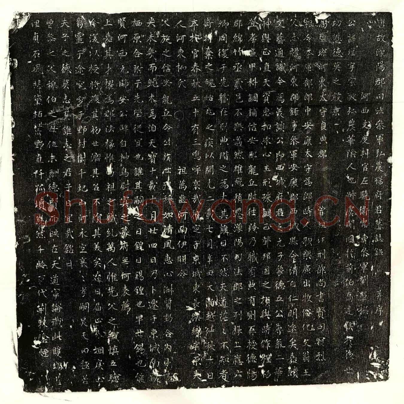 唐杨瑾墓誌(唐故濛阳郡司法参军弘农杨府君墓誌铭并序)