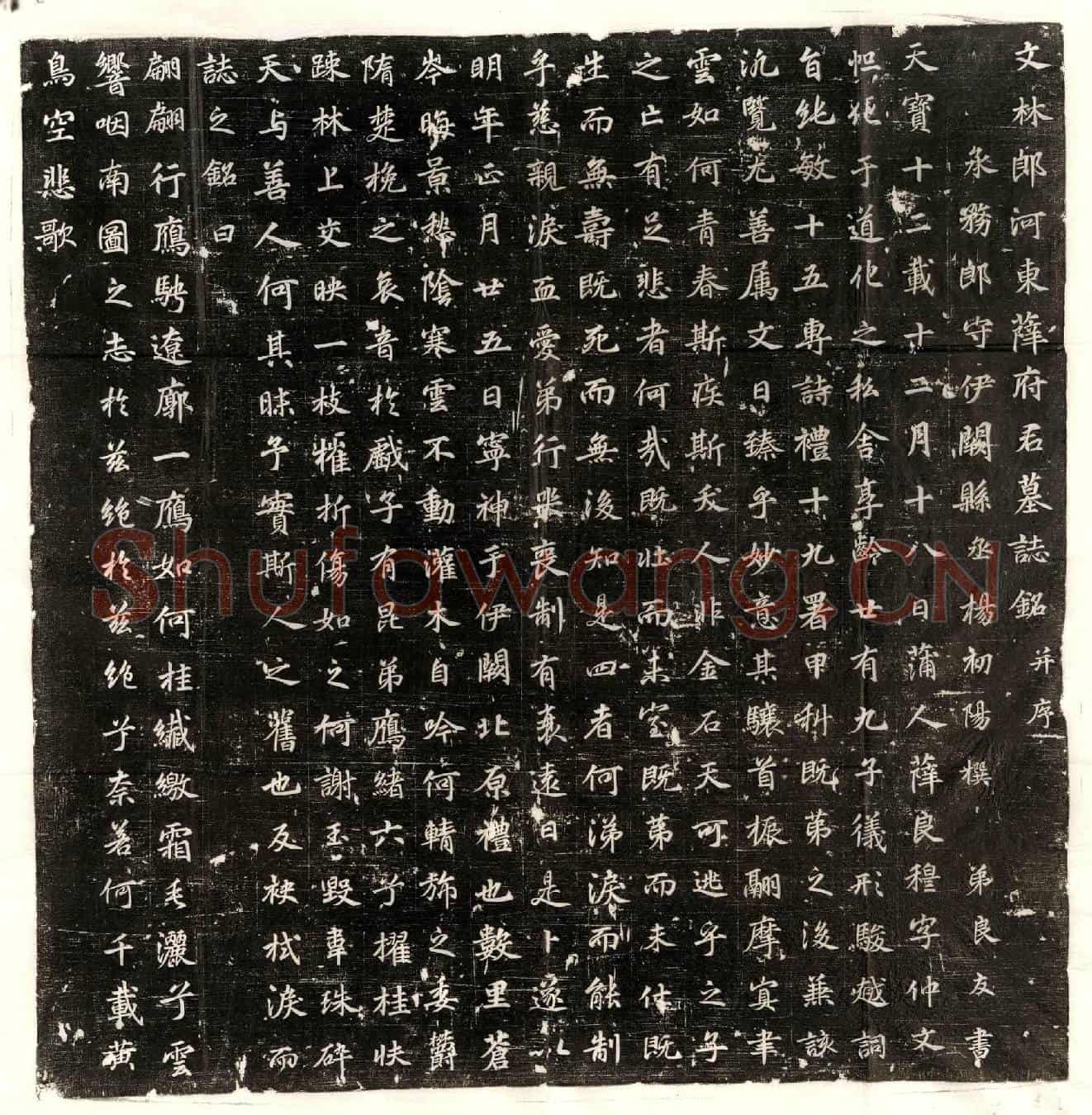 唐薛良穆墓誌(文林郎河东薛府君墓誌铭并序)