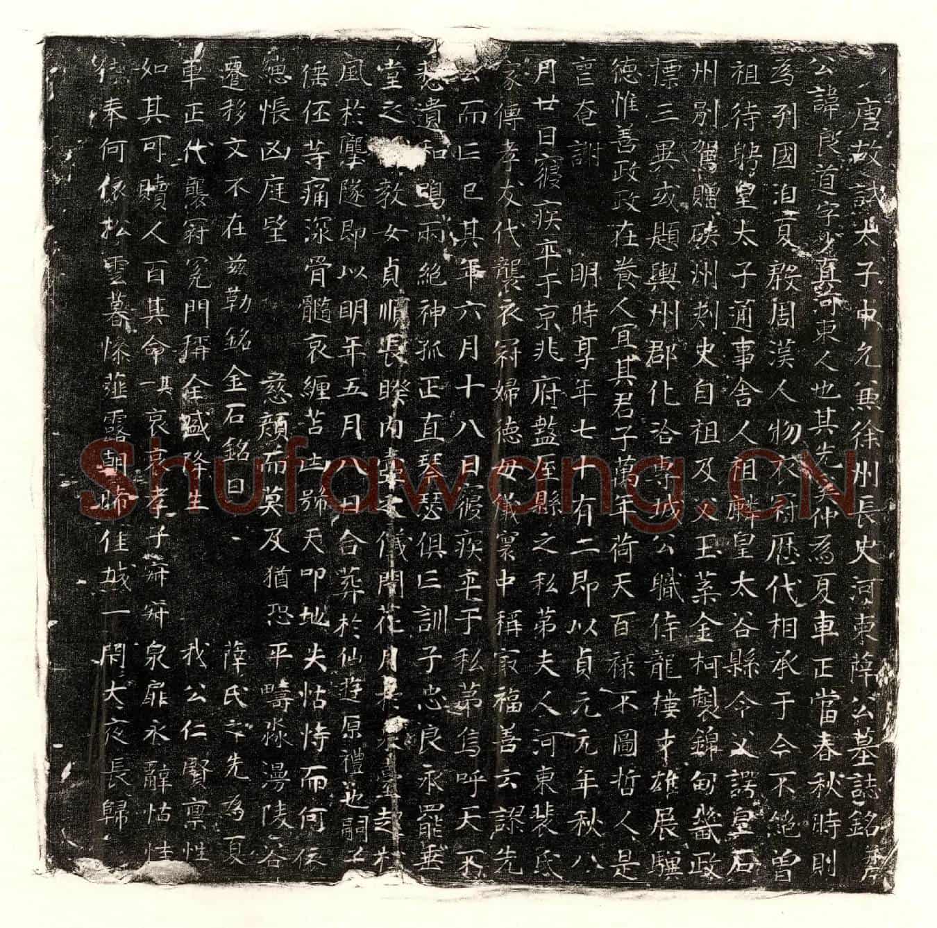 唐薛良道墓誌(唐故试太子中允兼徐州长史河东薛公墓誌铭并序)