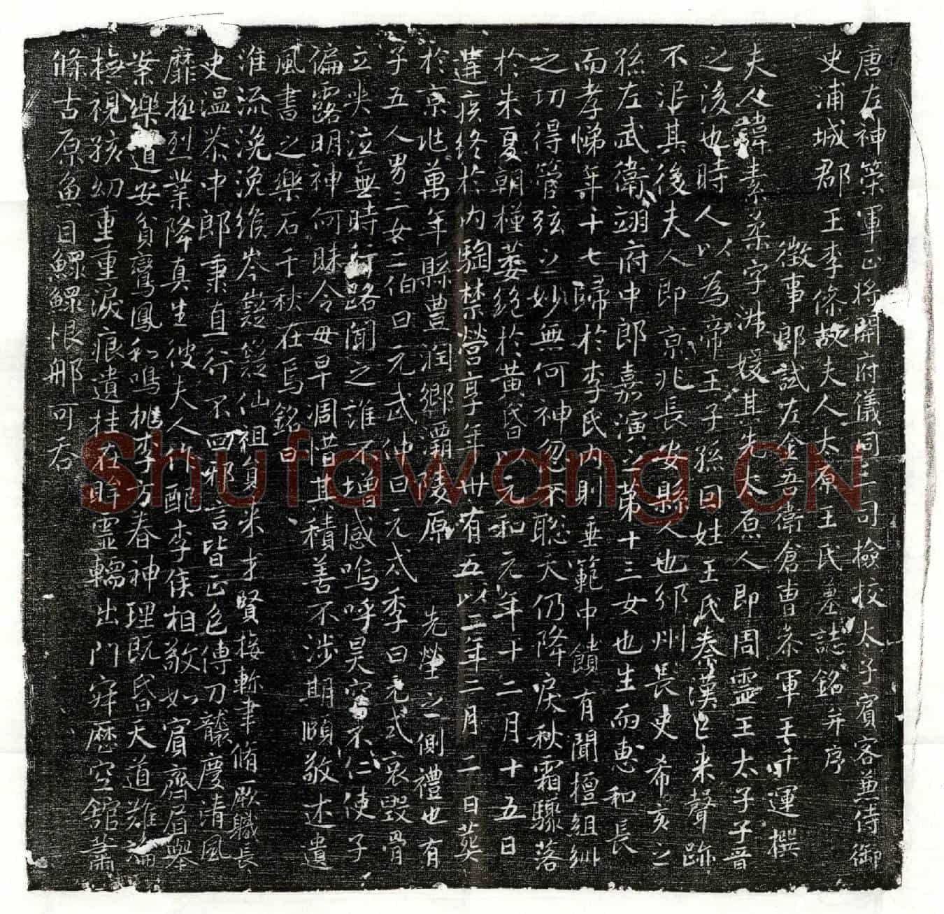 唐李傪妻王素柔墓誌(唐左神策军正将开府仪同三司检校太子宾客兼侍御史浦城郡王李傪故夫人太原王氏墓誌铭并序)