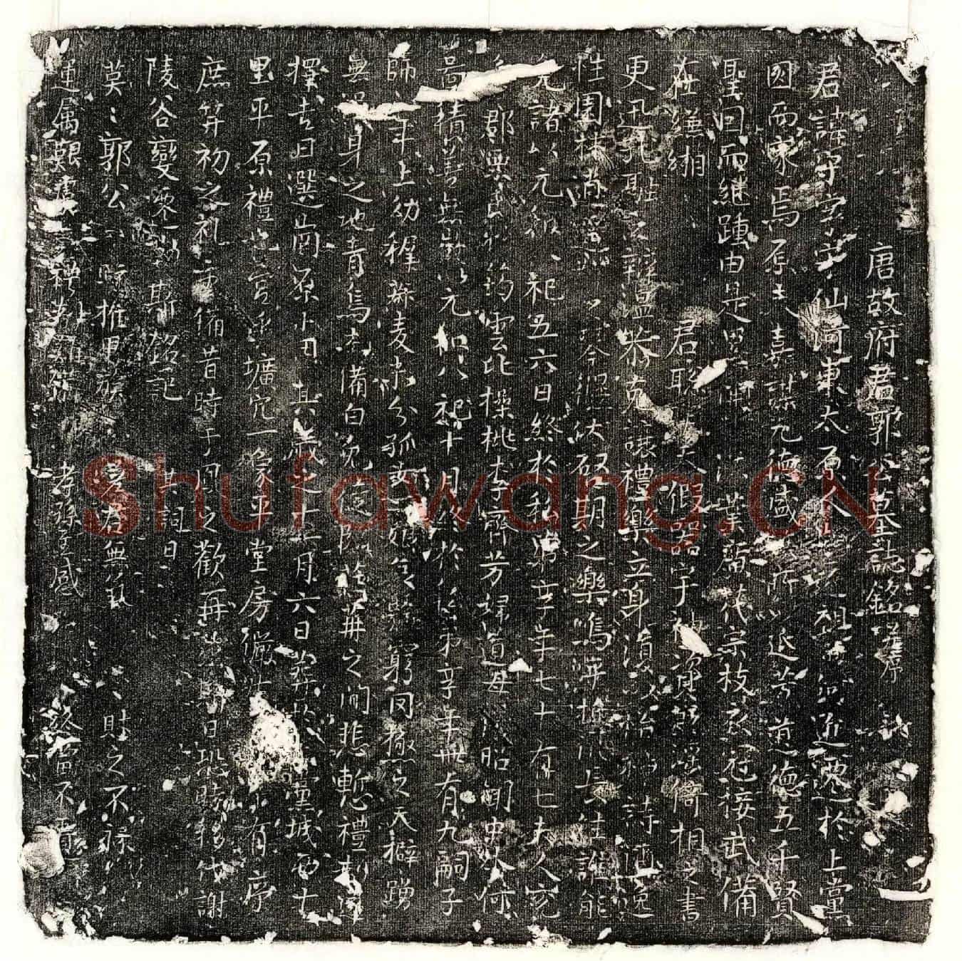 唐郭守墓誌(唐故府君郭公墓誌铭并序)
