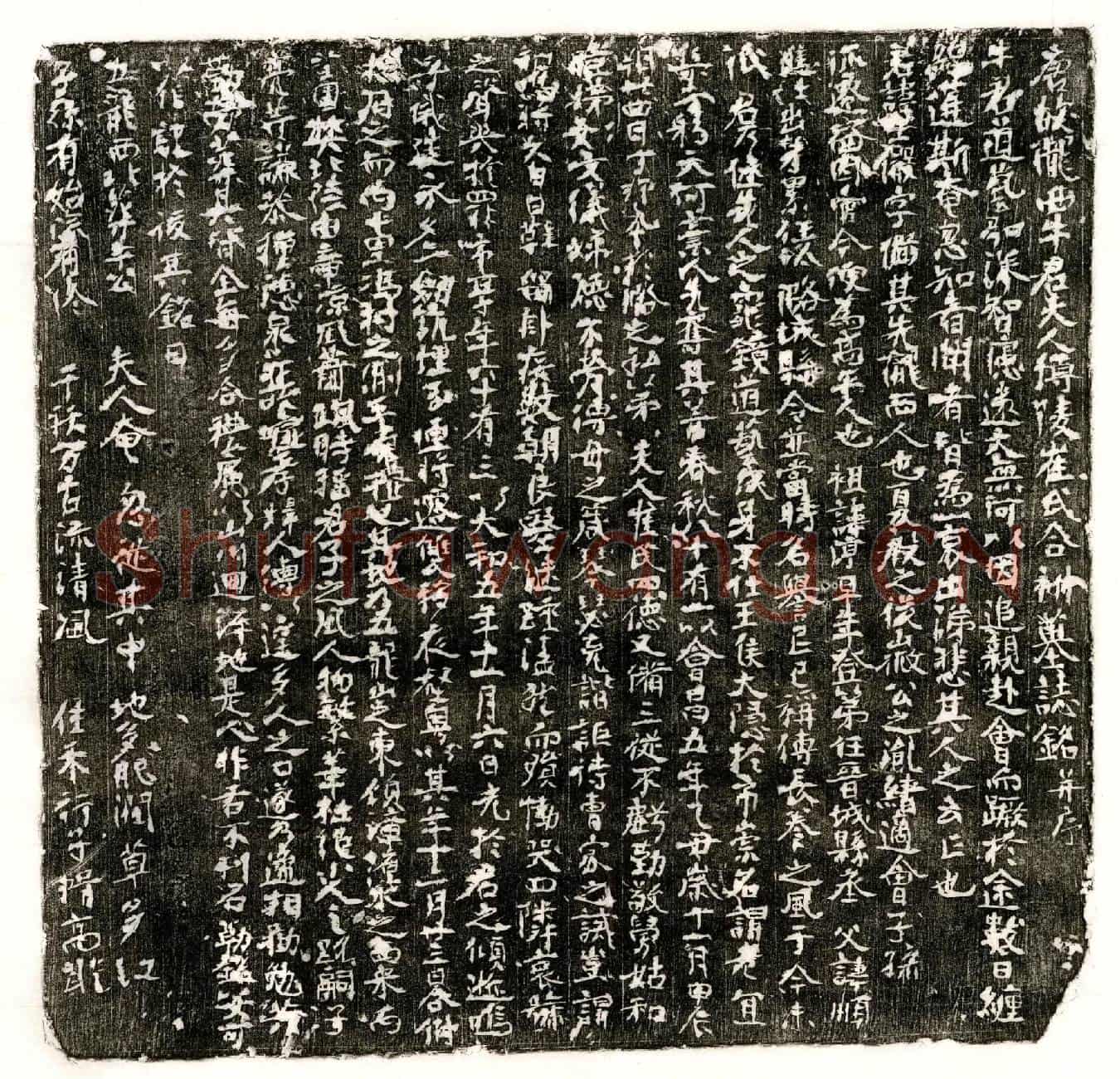唐牛士俨、牛士俨妻崔氏墓誌(唐故陇西牛君夫人博陵崔氏合祔墓誌铭并序)