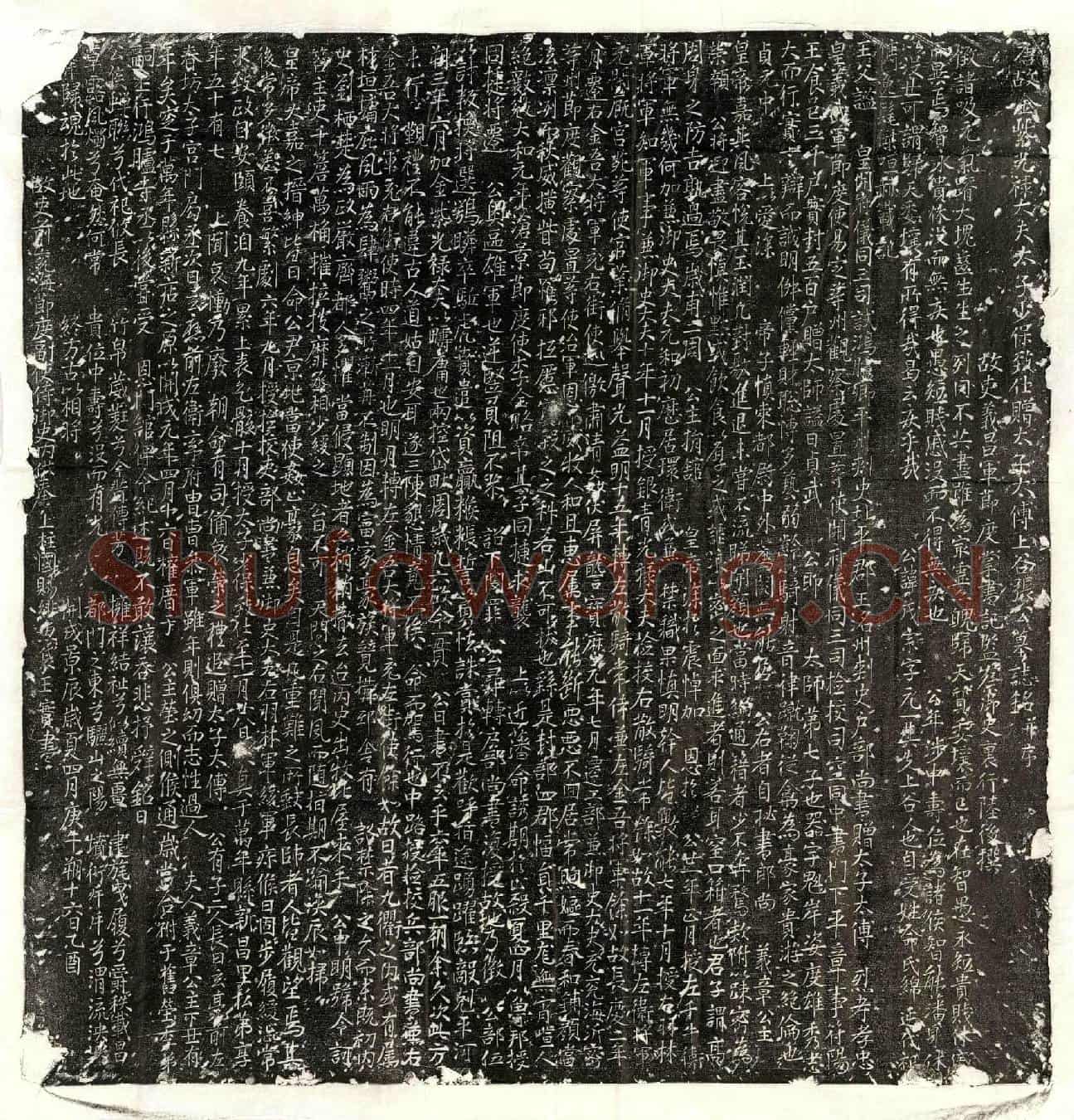 唐张茂宗墓誌(唐故金紫光禄大夫太子少保致仕赠太子太傅上谷张公墓誌铭并序)