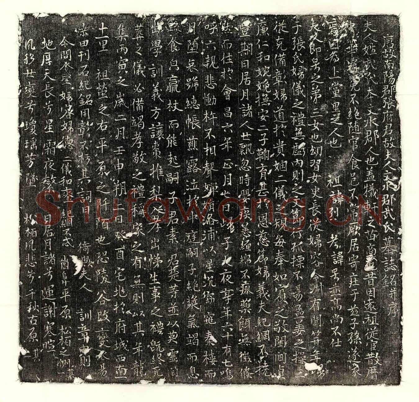 唐张君素母武氏墓誌(唐故南阳郡张府君故夫人文水郡武氏墓誌铭并序)