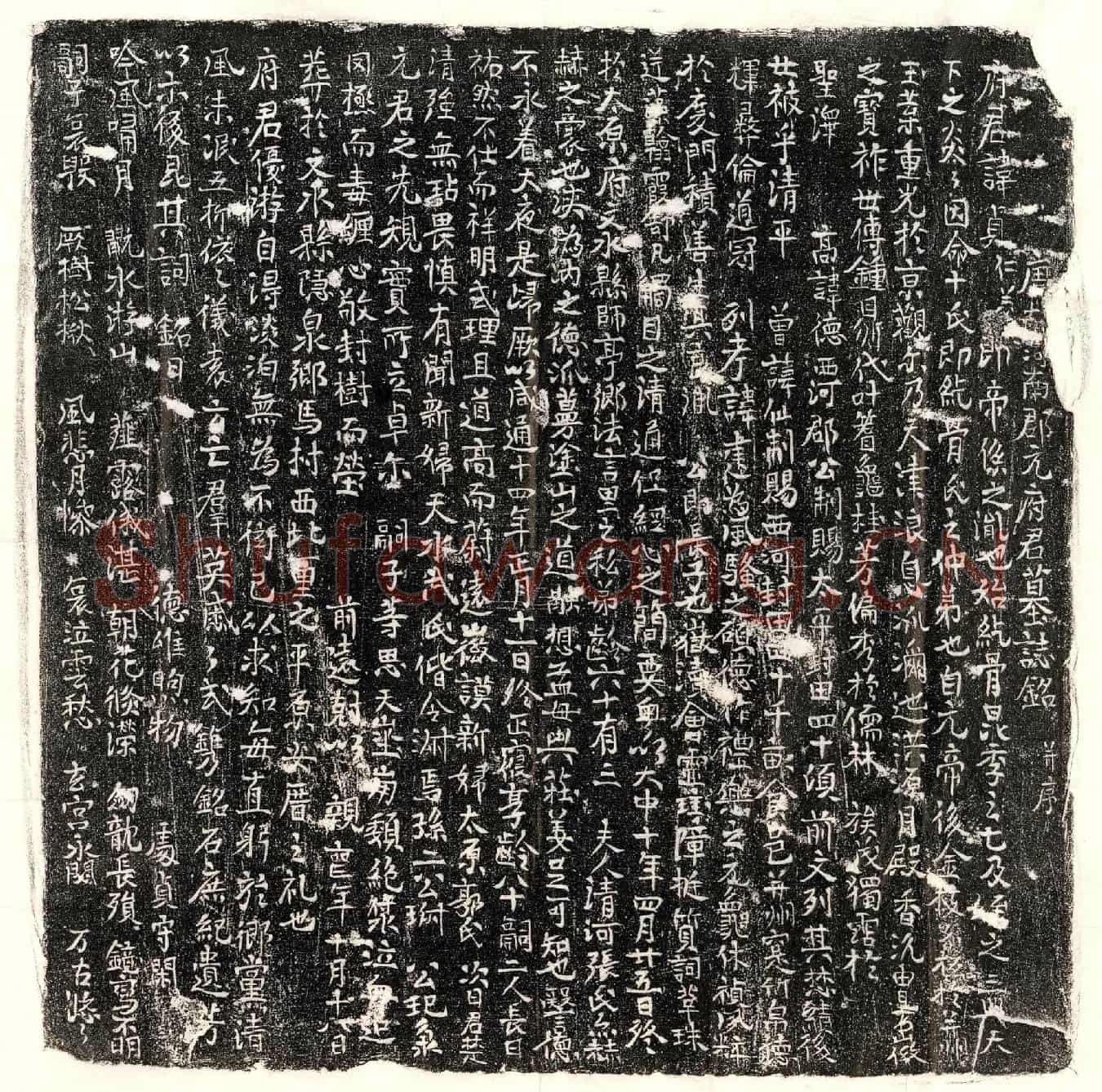 唐元贞墓誌(唐故河南郡元府君墓誌铭并序)