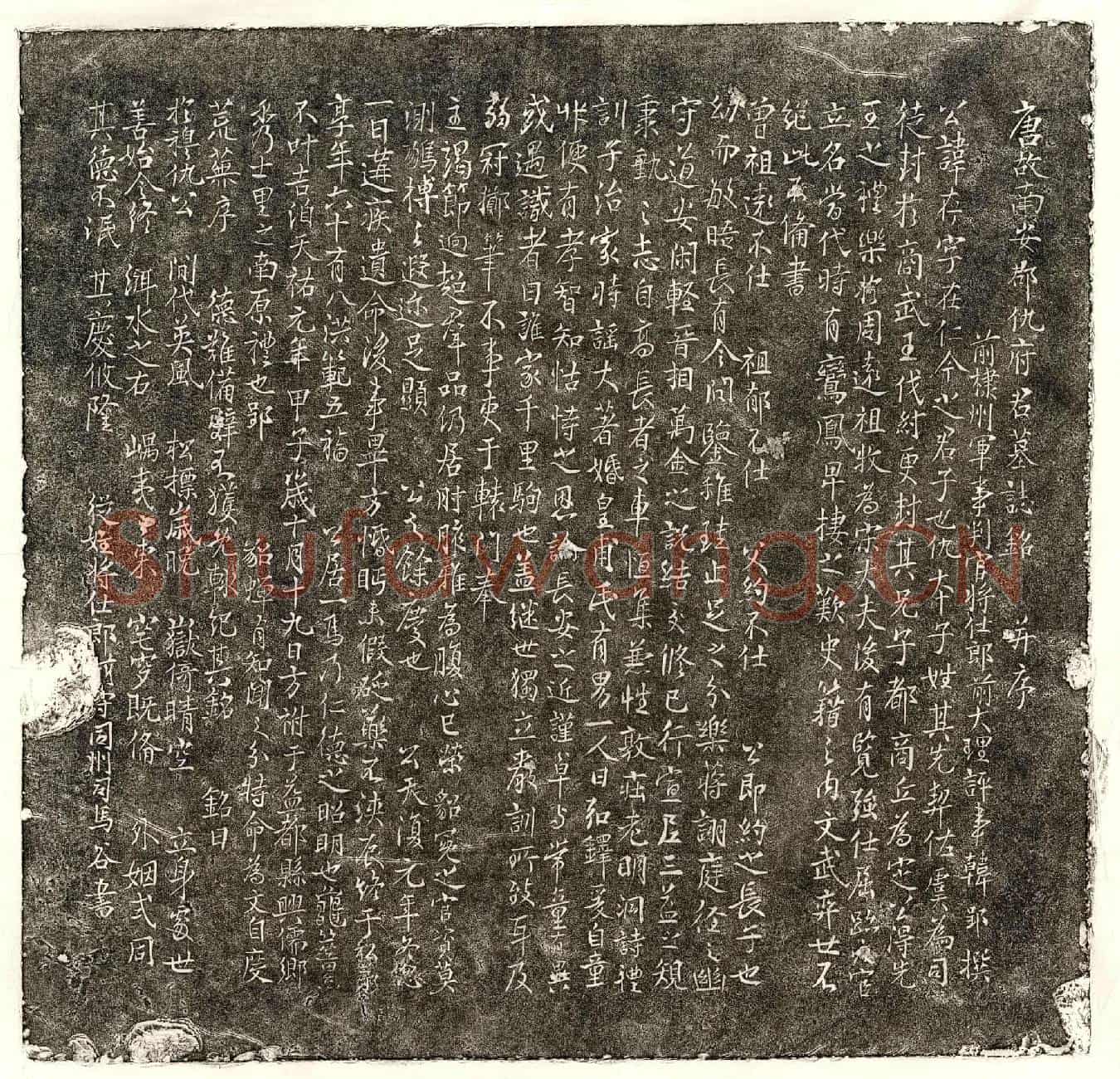 唐仇存墓誌(唐故南安郡仇府君墓誌铭并序)