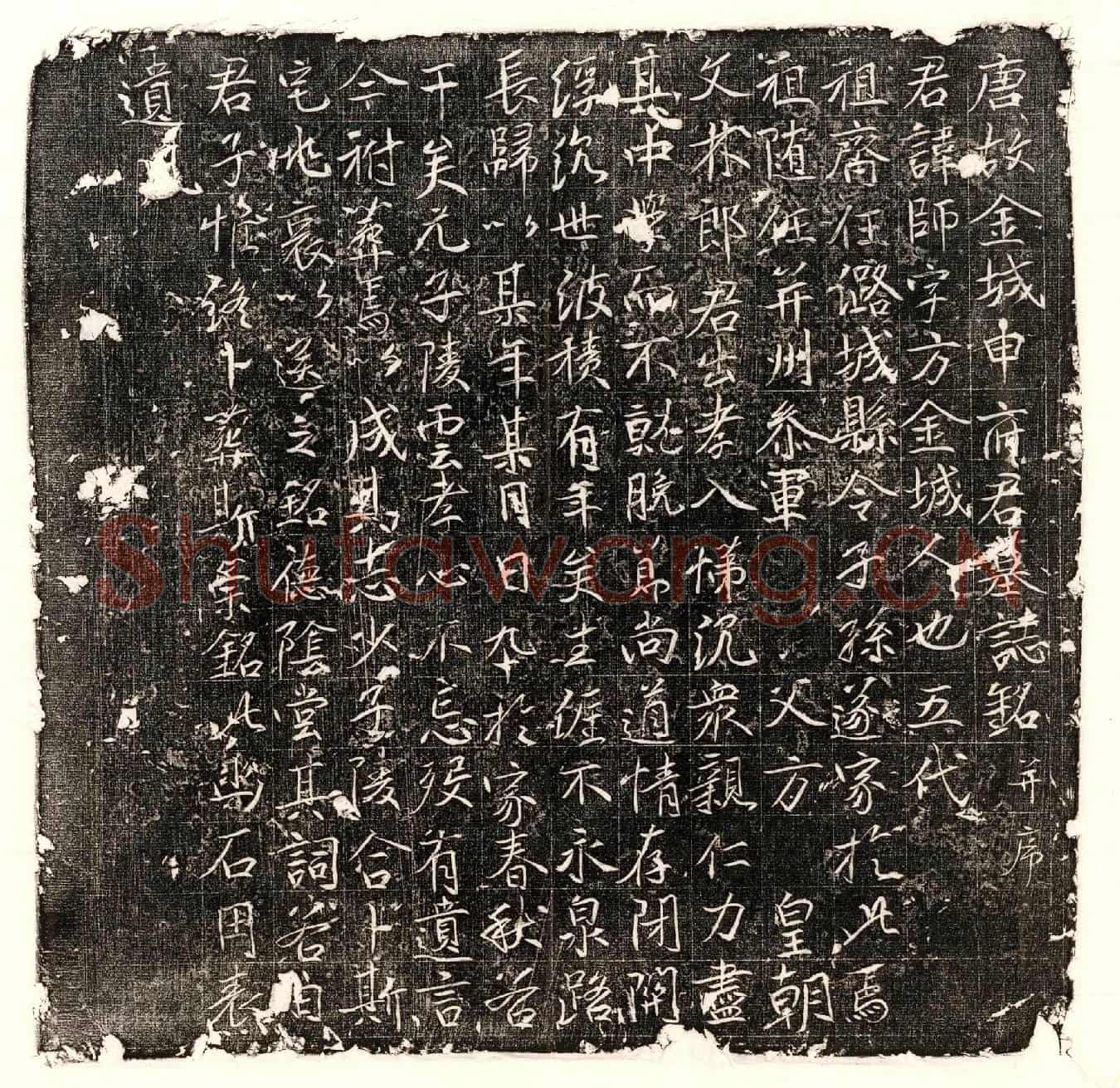 唐申师墓誌(唐故金城申府君墓誌铭并序)