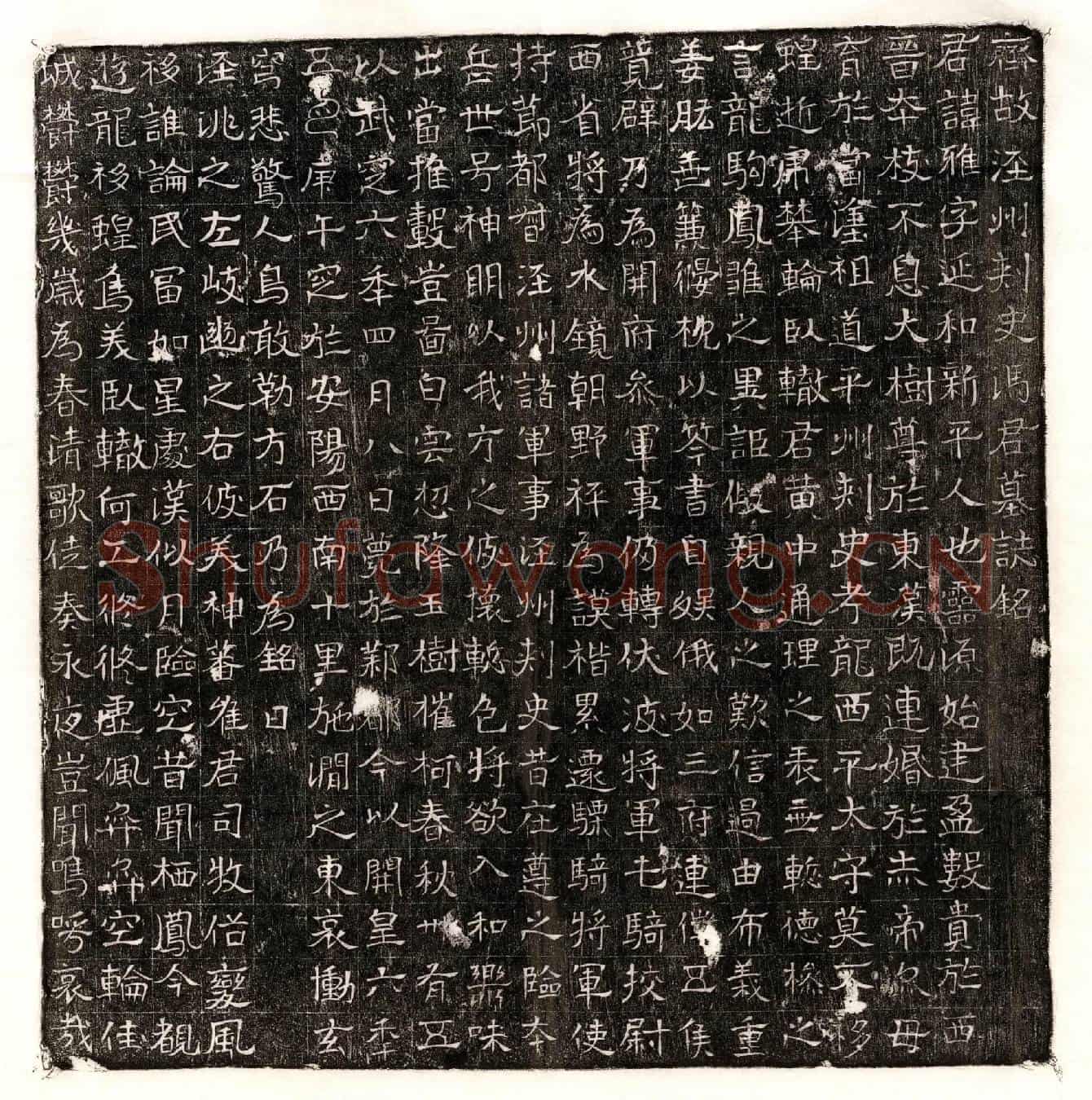 隋冯雅墓誌(齐故泾州刺史冯君墓誌铭)