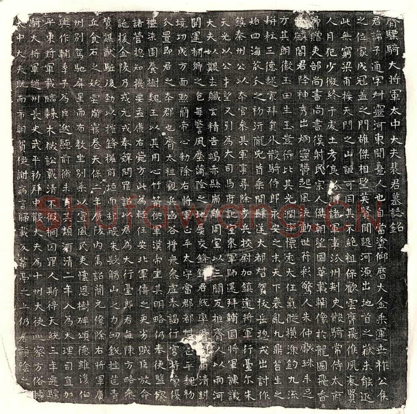 隋裴子通墓誌(齐骠骑大将军太中大夫裴君墓誌铭)