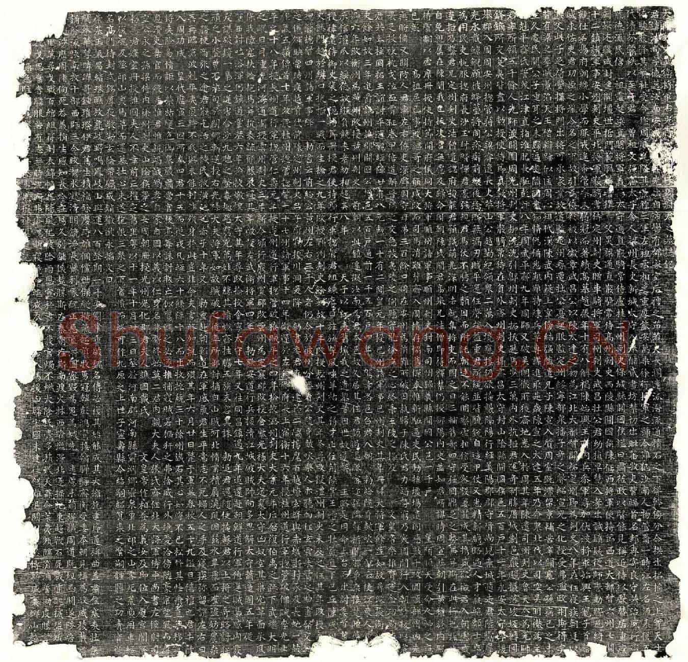 隋周法尚墓誌(大隋故左武卫将军右光禄大□□（夫僖）子周府君之墓誌铭)