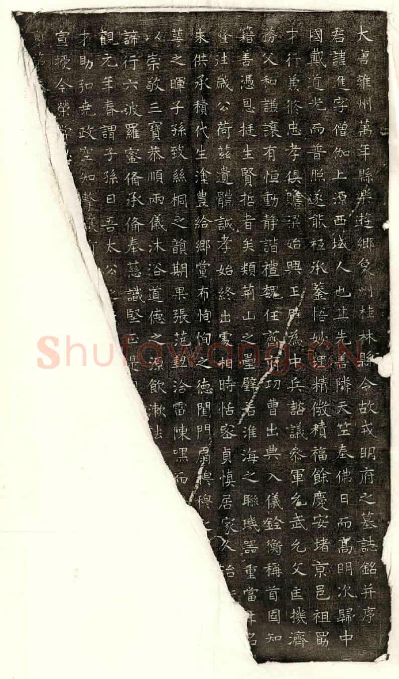 唐戎进墓誌(大唐雍州万年县乐游乡象州桂林县令故戎明府之墓誌铭并序)