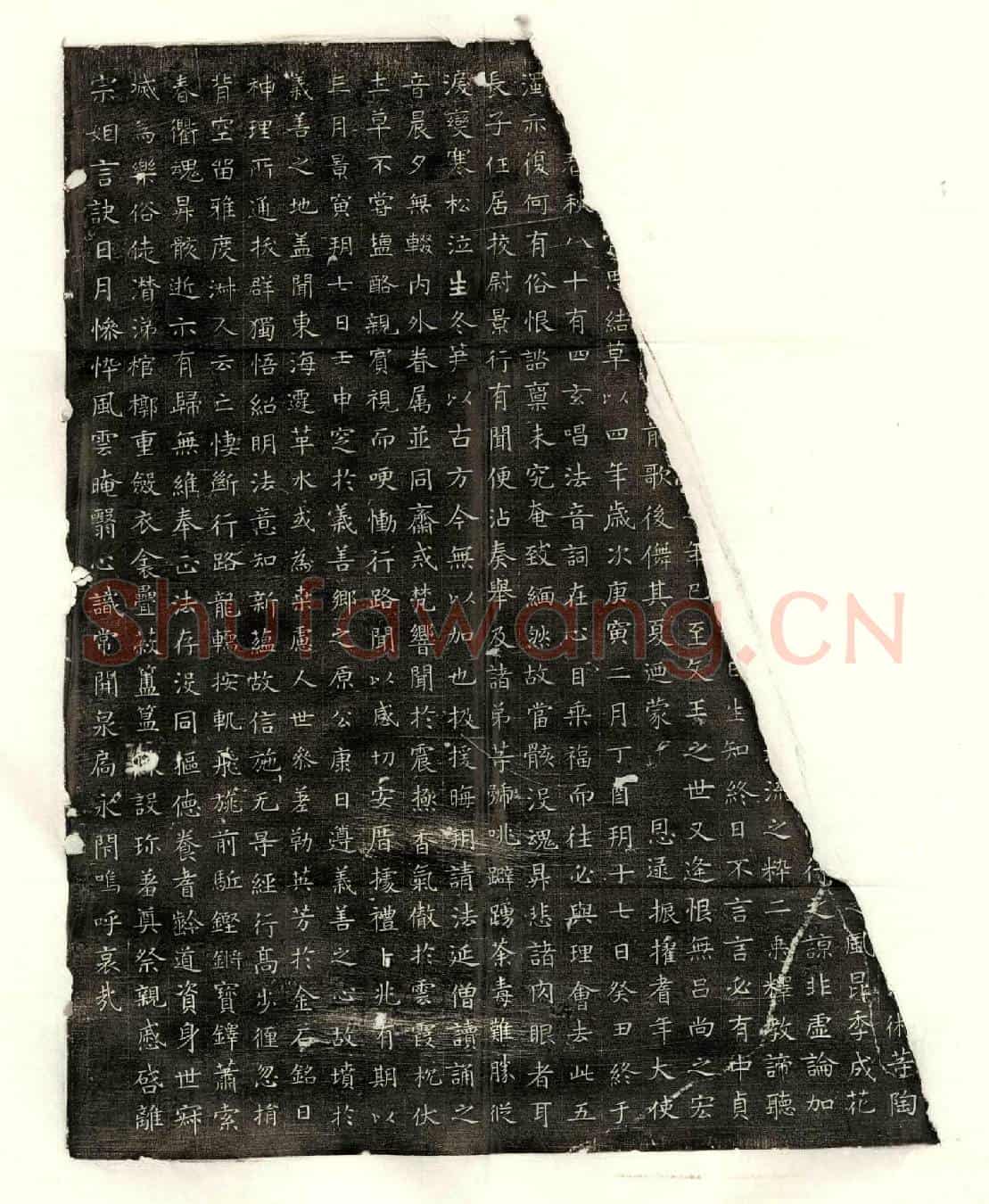 唐戎进墓誌(大唐雍州万年县乐游乡象州桂林县令故戎明府之墓誌铭并序)