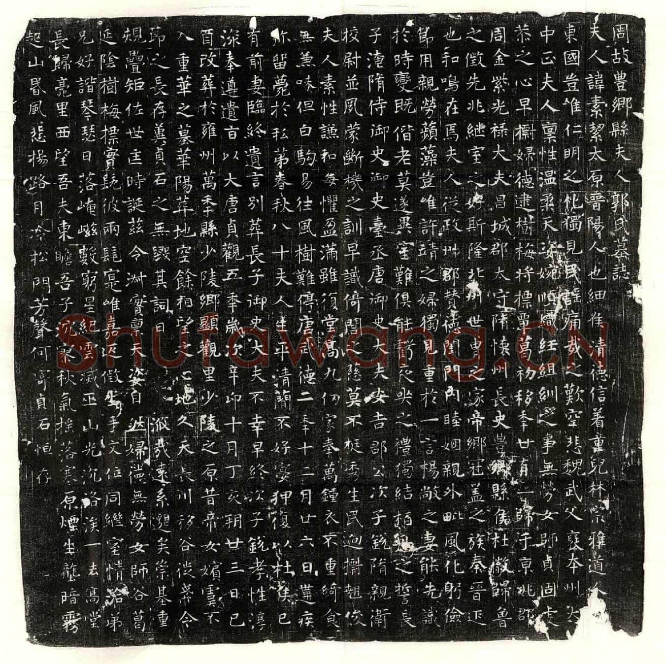 唐杜徽妻郭素絜墓誌(周故丰乡县夫人郭氏墓誌)
