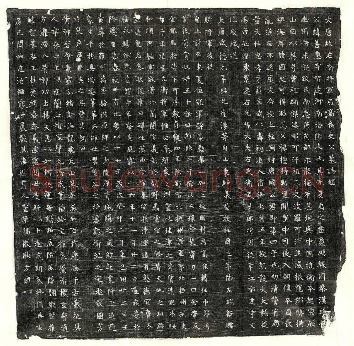 唐史善应墓誌(大唐故左卫将军弓高侯史公墓誌铭)