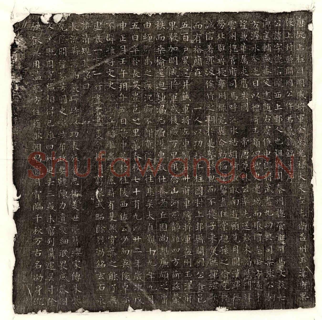 唐仵德信墓誌(唐故上柱国明威将军金紫光禄大夫左屯卫益州玉津府果毅上封县开国公仵君墓誌铭并序)
