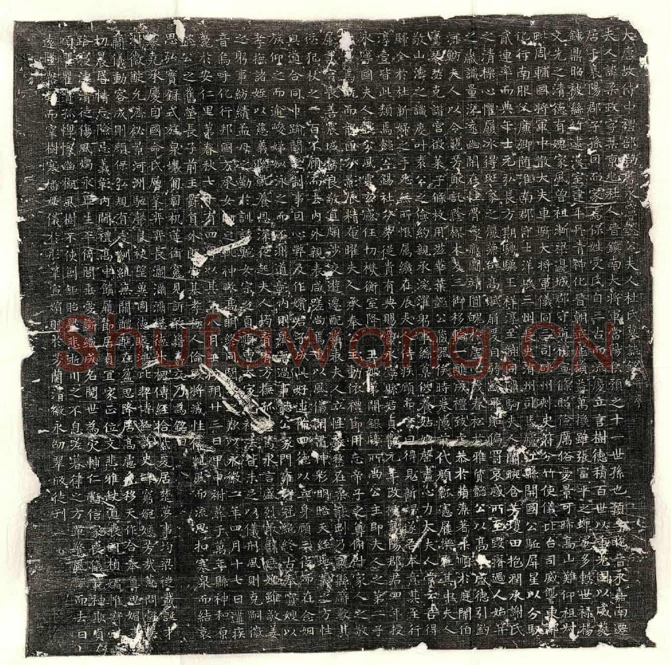 唐王珪妻杜柔政墓誌(大唐故侍中礼部尚书永宁懿公夫人杜氏墓誌铭并序)