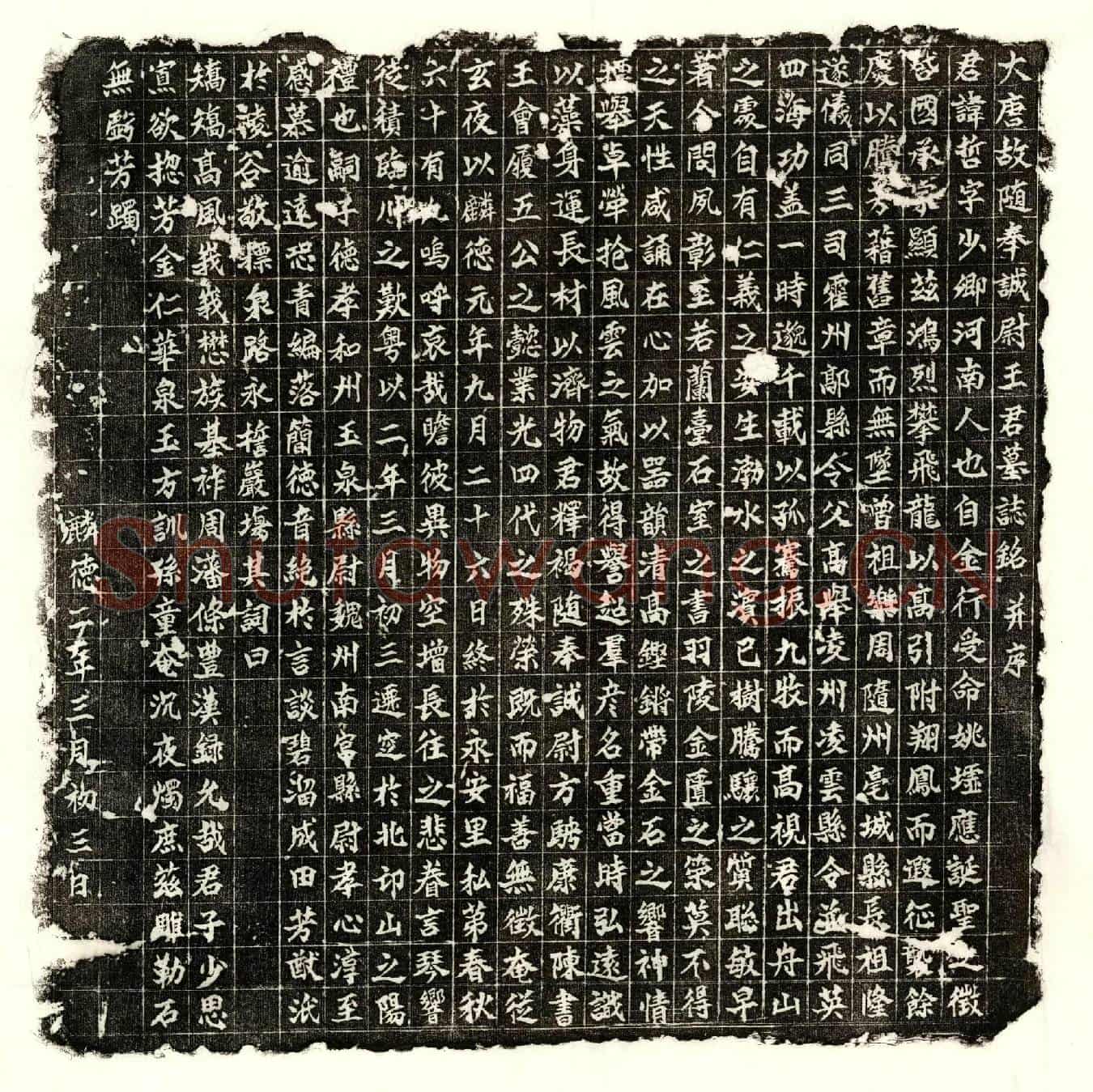 唐王哲墓誌(大唐故随奉诚尉王君墓誌铭并序)