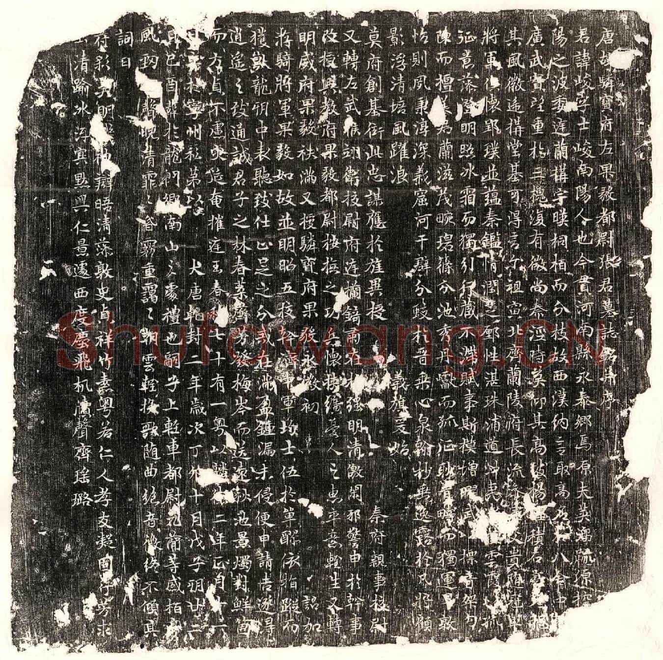 唐张峻墓誌(唐故驎宝府左果毅都尉张君墓誌铭并序)