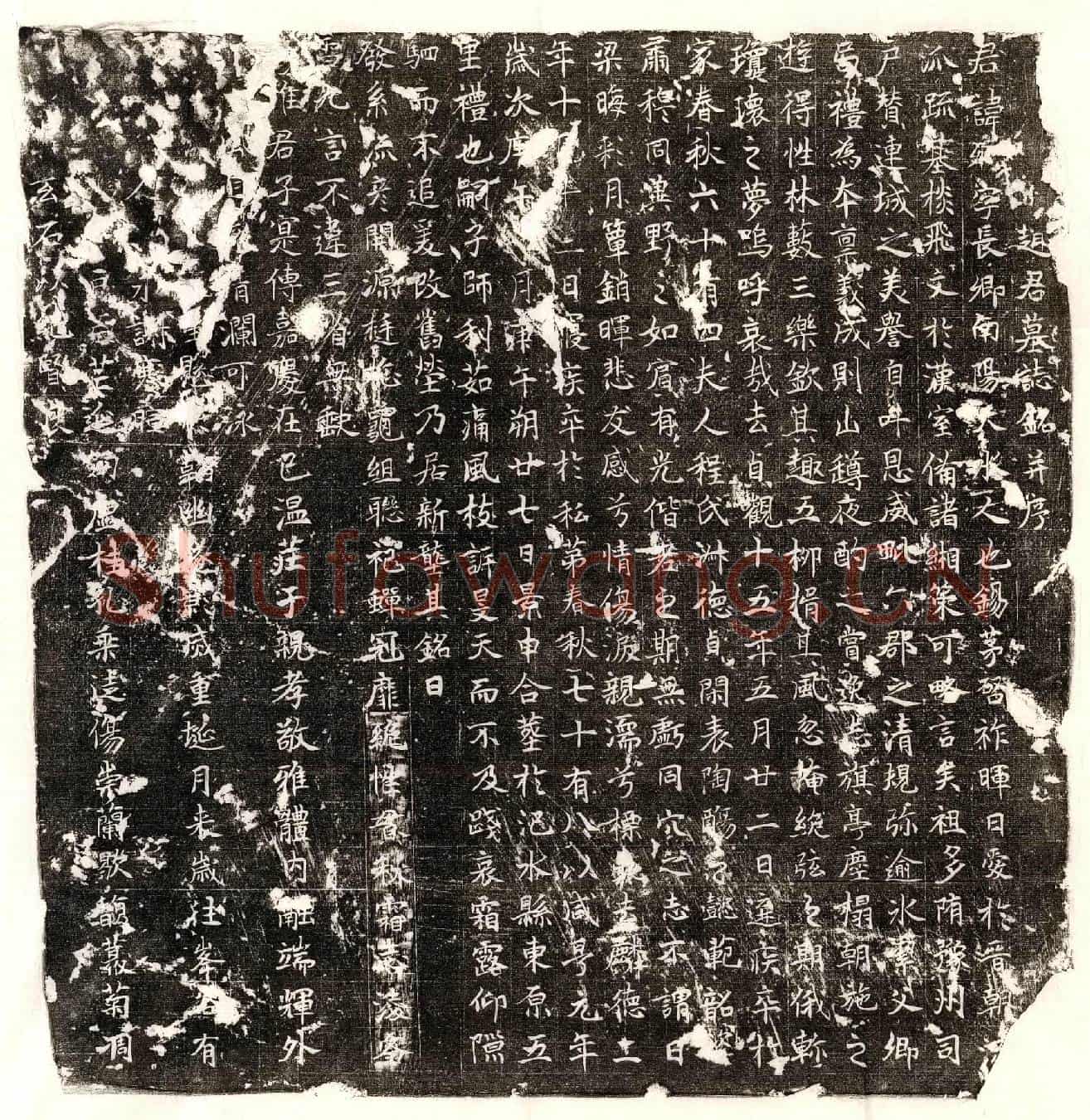 唐赵长卿墓誌(赵君墓誌铭并序)