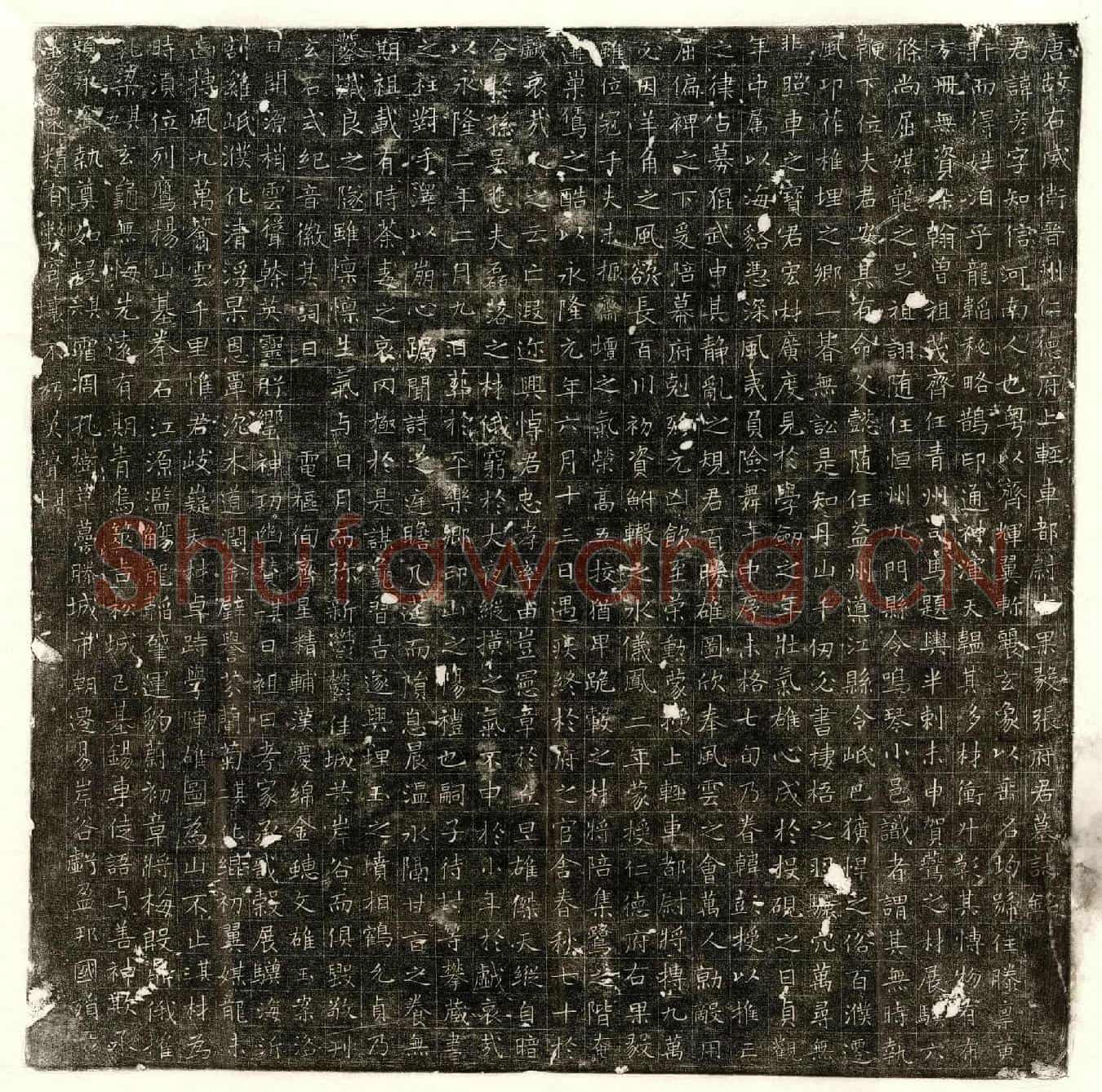 唐张彦墓誌(唐故右威卫晋州仁德府上轻车都尉□（右）果毅张府君墓誌铭)