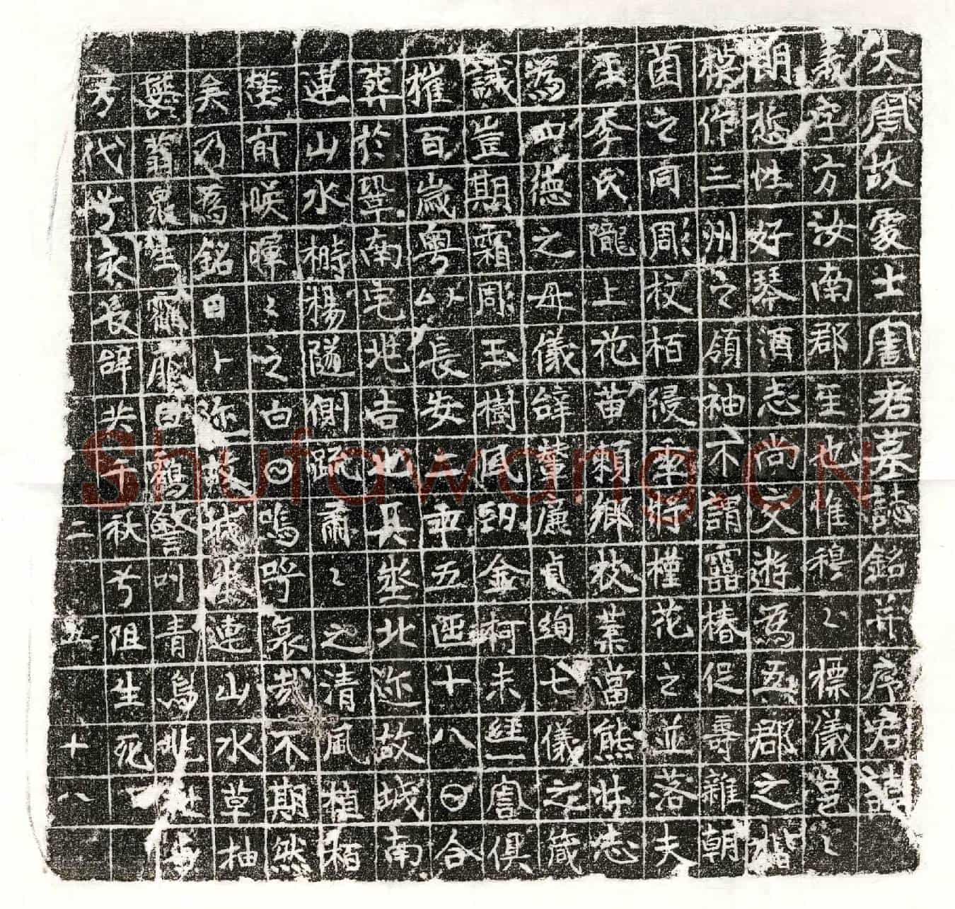 唐周义墓誌(大周故处士周君墓誌铭并序)