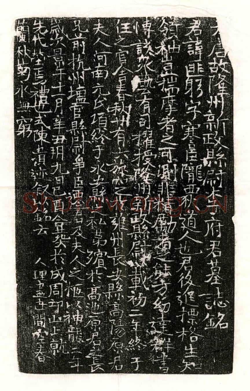 唐李匪躬墓誌(大唐故隆州新政县尉李府君墓誌铭)