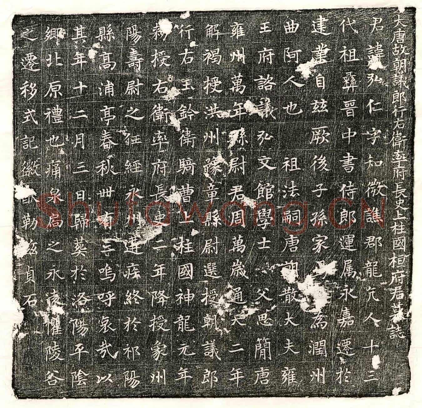 唐桓弘仁墓誌(大唐故朝议郎行右卫率府长史上柱国桓府君墓誌)
