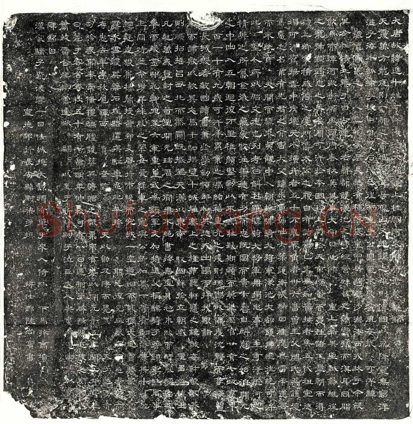 唐阿史那怀道墓誌(大唐故特进十姓可汗濛池大都护上柱国阿史那府君墓誌铭并序)