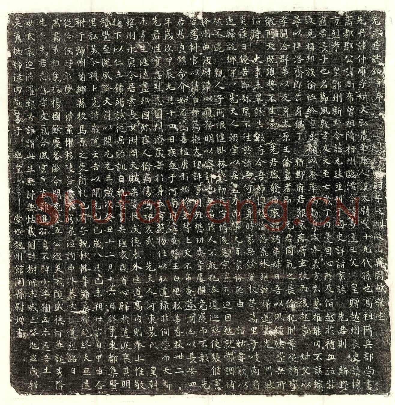 唐杨仲膺墓誌(先府君誌铭并序)
