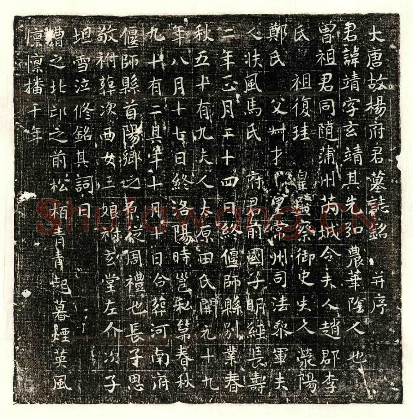 唐杨靖墓誌(大唐故杨府君墓誌铭并序)