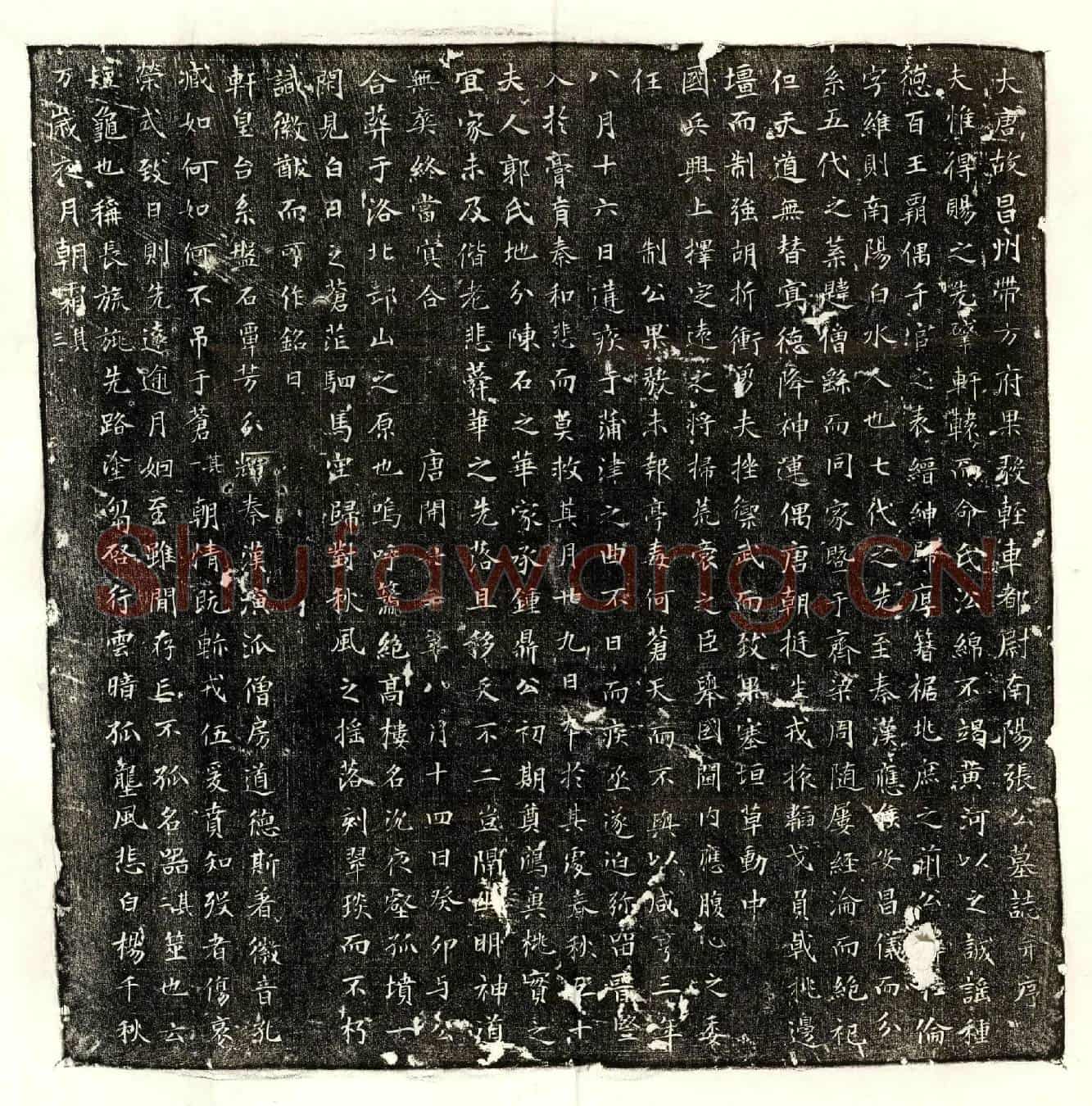 唐张仁伦墓誌(大唐故昌州带方府果毅轻车都尉南阳张公墓誌并序)