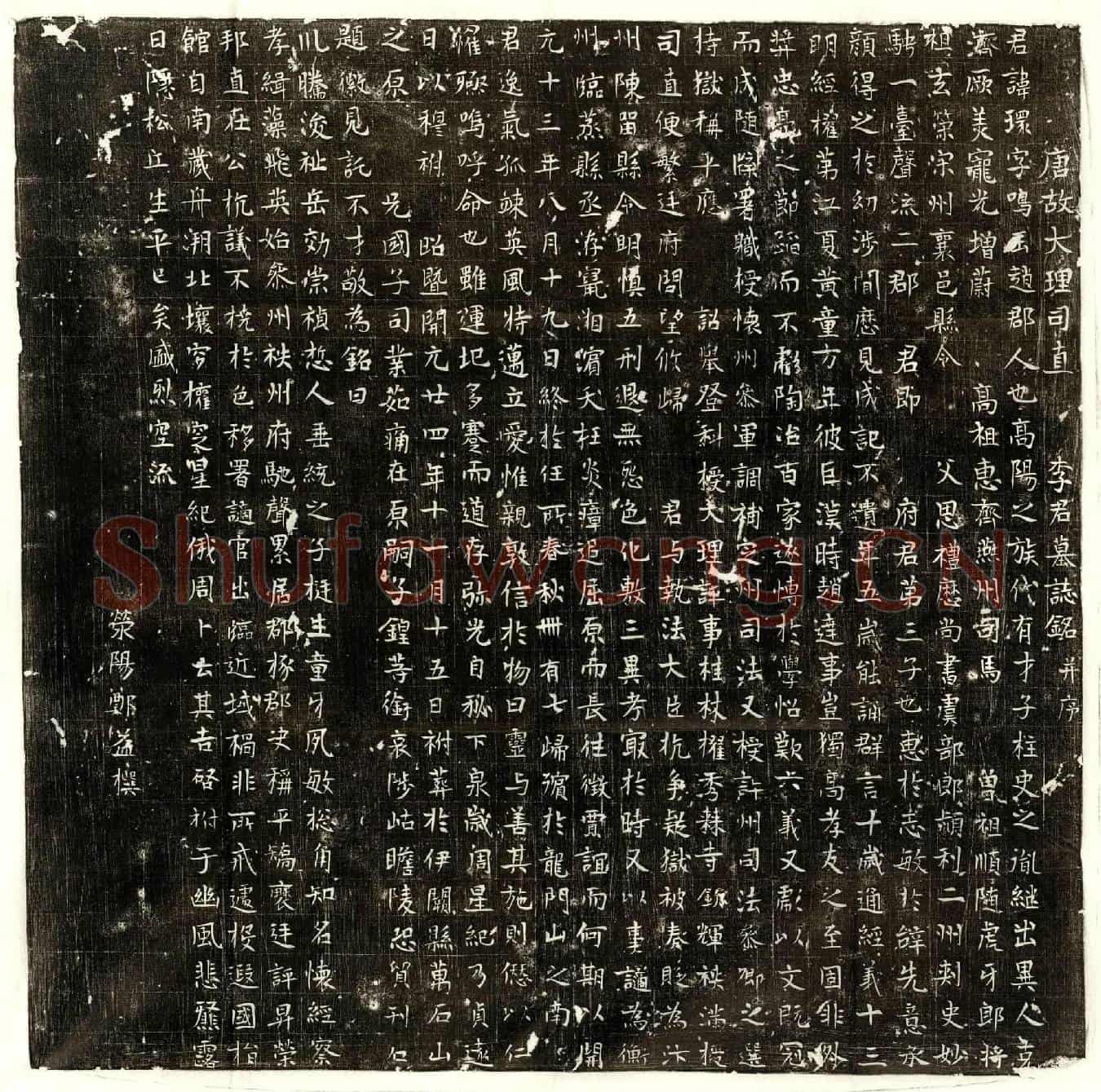 唐李环墓誌(唐故大理司直李君墓誌铭并序)
