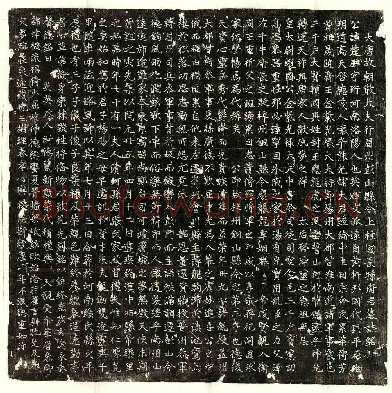 唐长孙楚璧墓誌(大唐故朝散大夫行眉州彭山县令上柱国长孙府君墓誌铭并序)