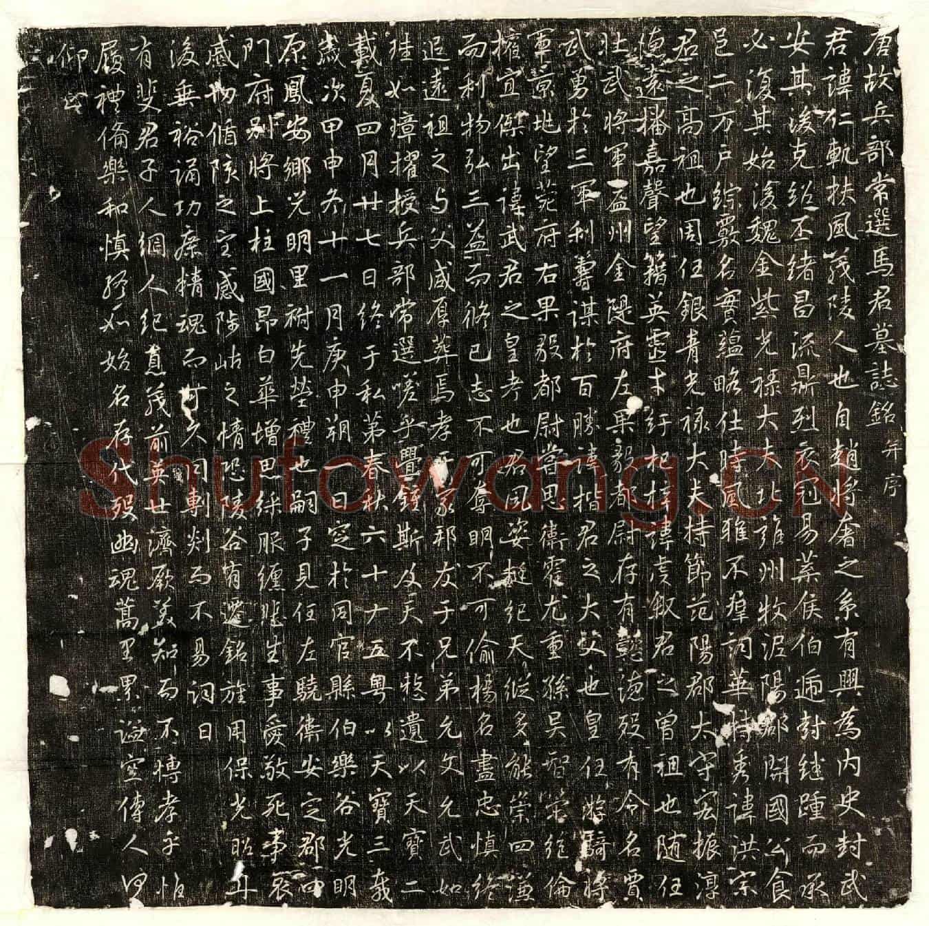 唐马仁轨墓誌(唐故兵部常选马君墓誌铭并序)