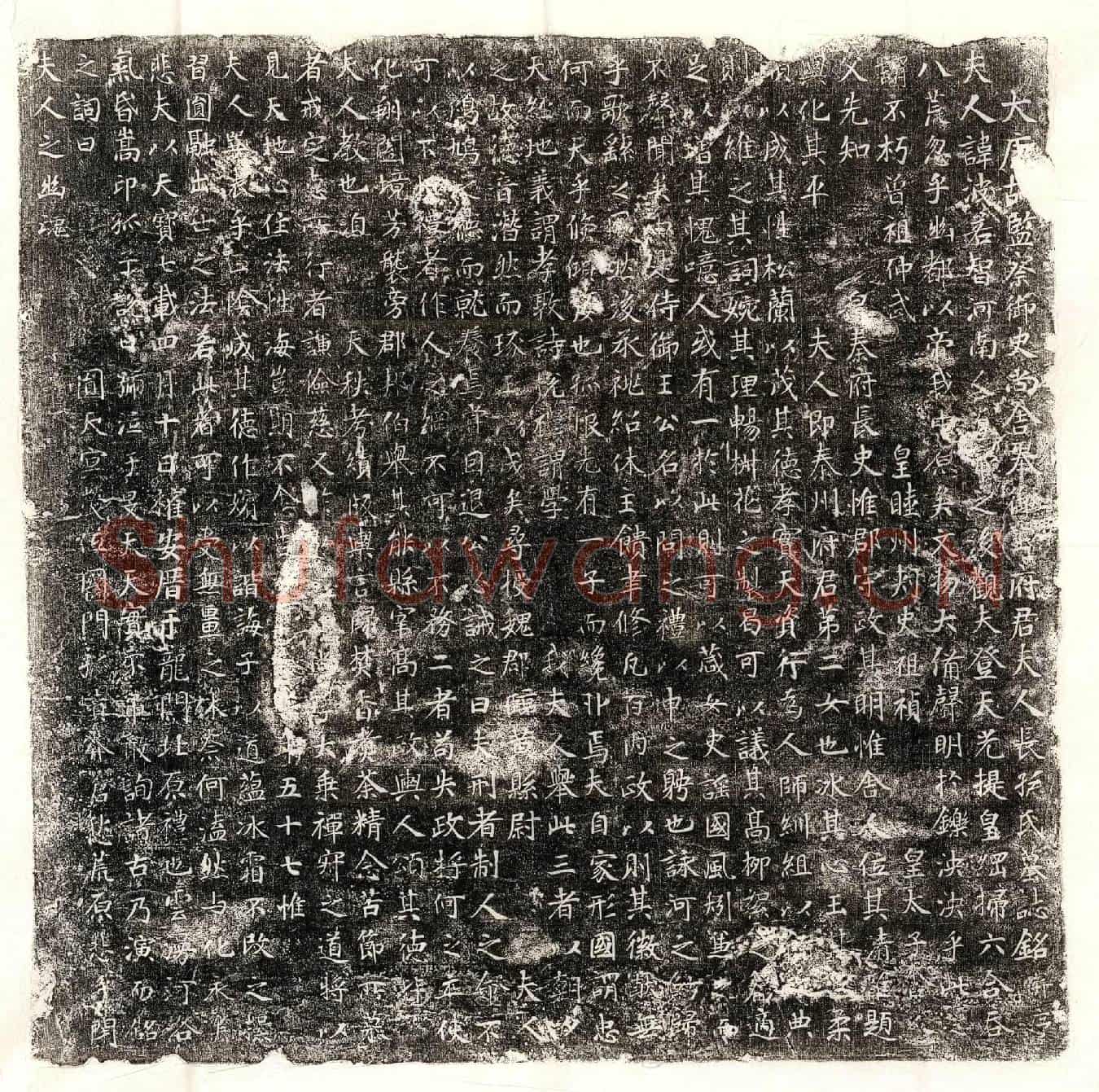 唐王君妻长孙波若智墓誌(大唐故监察御史尚舍奉御王府君夫人长孙氏墓誌铭并序)