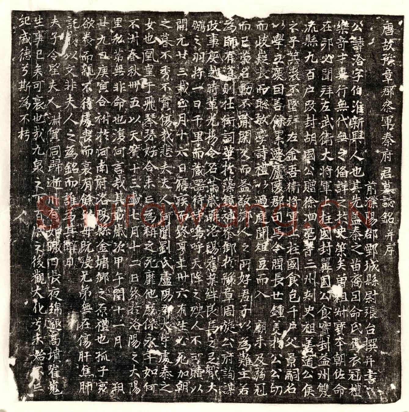 唐秦洽墓誌(唐故豫章郡参军秦府君墓誌铭并序)