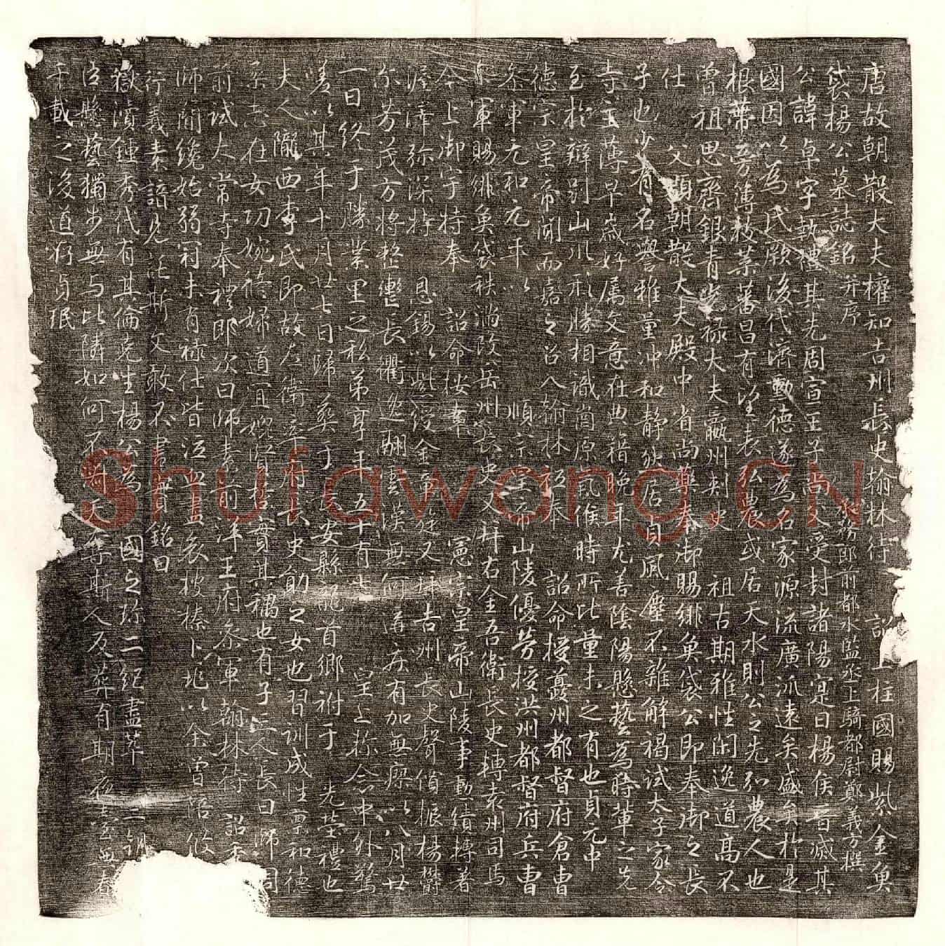 唐杨卓墓誌(唐故朝散大夫权知吉州长史翰林待诏上柱国赐紫金鱼袋杨公墓誌铭并序)