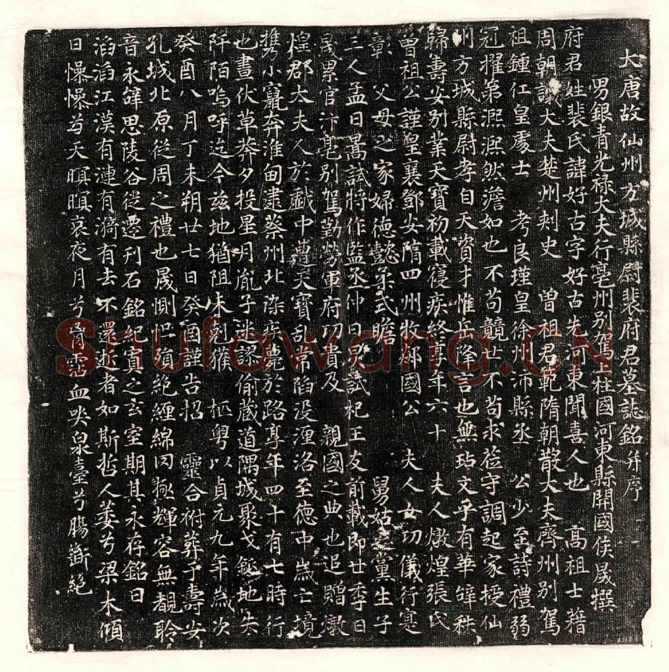 唐裴好古墓誌(大唐故仙州方城县尉裴府君墓誌铭并序)