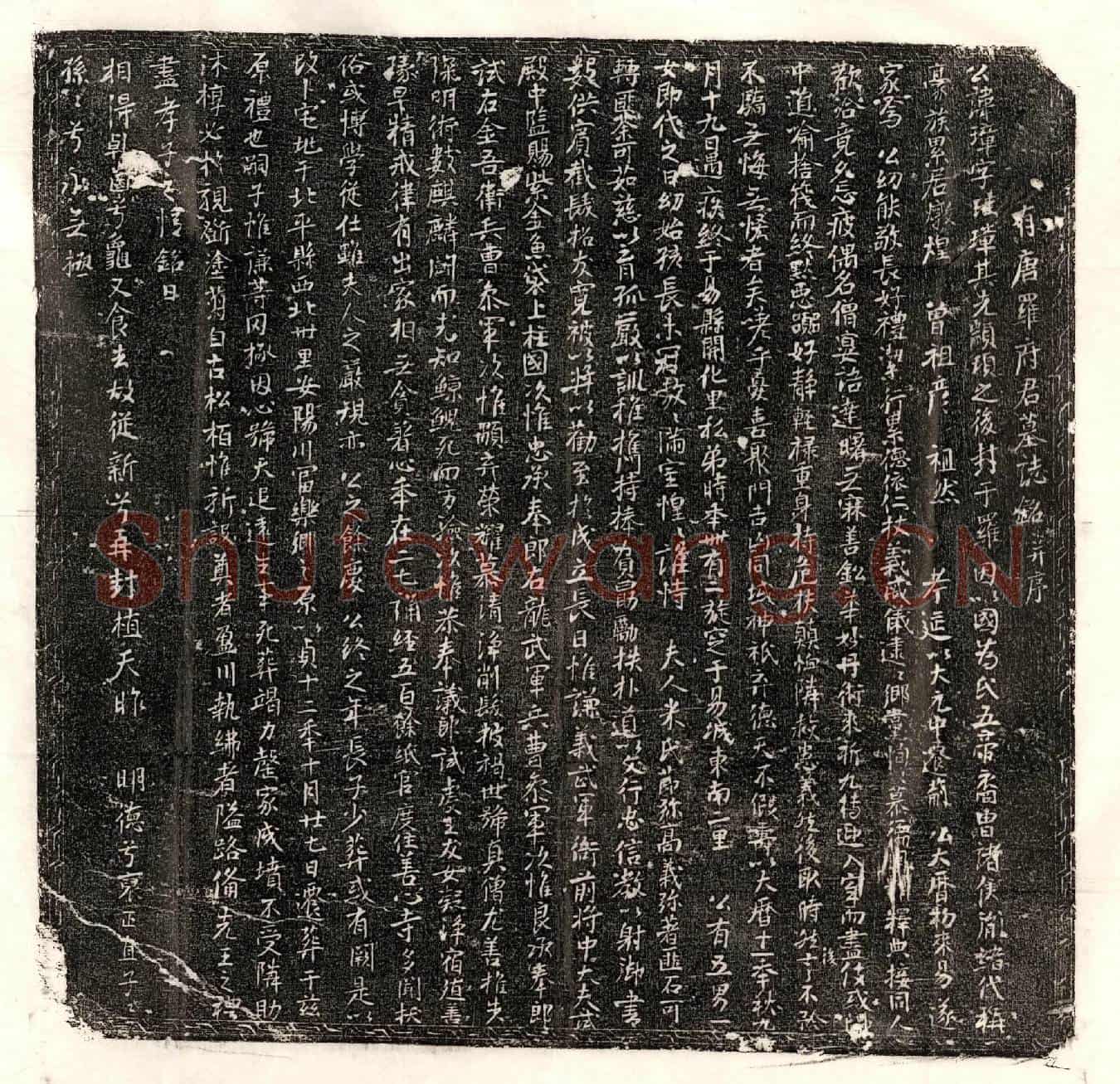 唐罗璋墓誌(有唐罗府君墓誌铭并序)