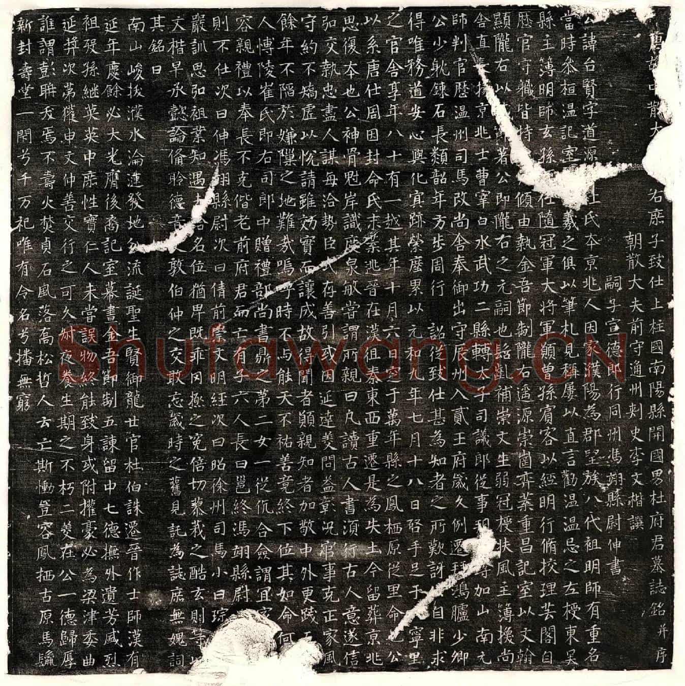 唐杜台贤墓誌(唐故中散大□□右庶子致仕上柱国南阳县开国男杜府君墓誌铭并序)
