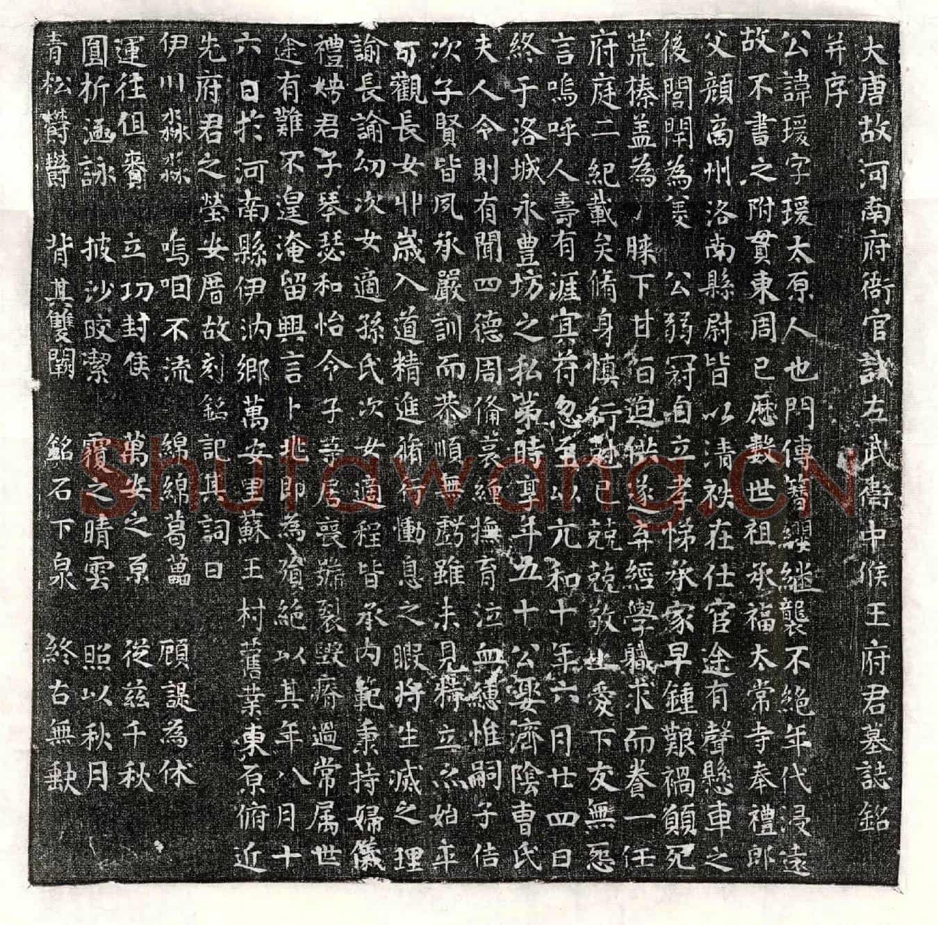 唐王瑗墓誌(大唐故河南府衙官试左武卫中侯王府君墓誌铭并序)
