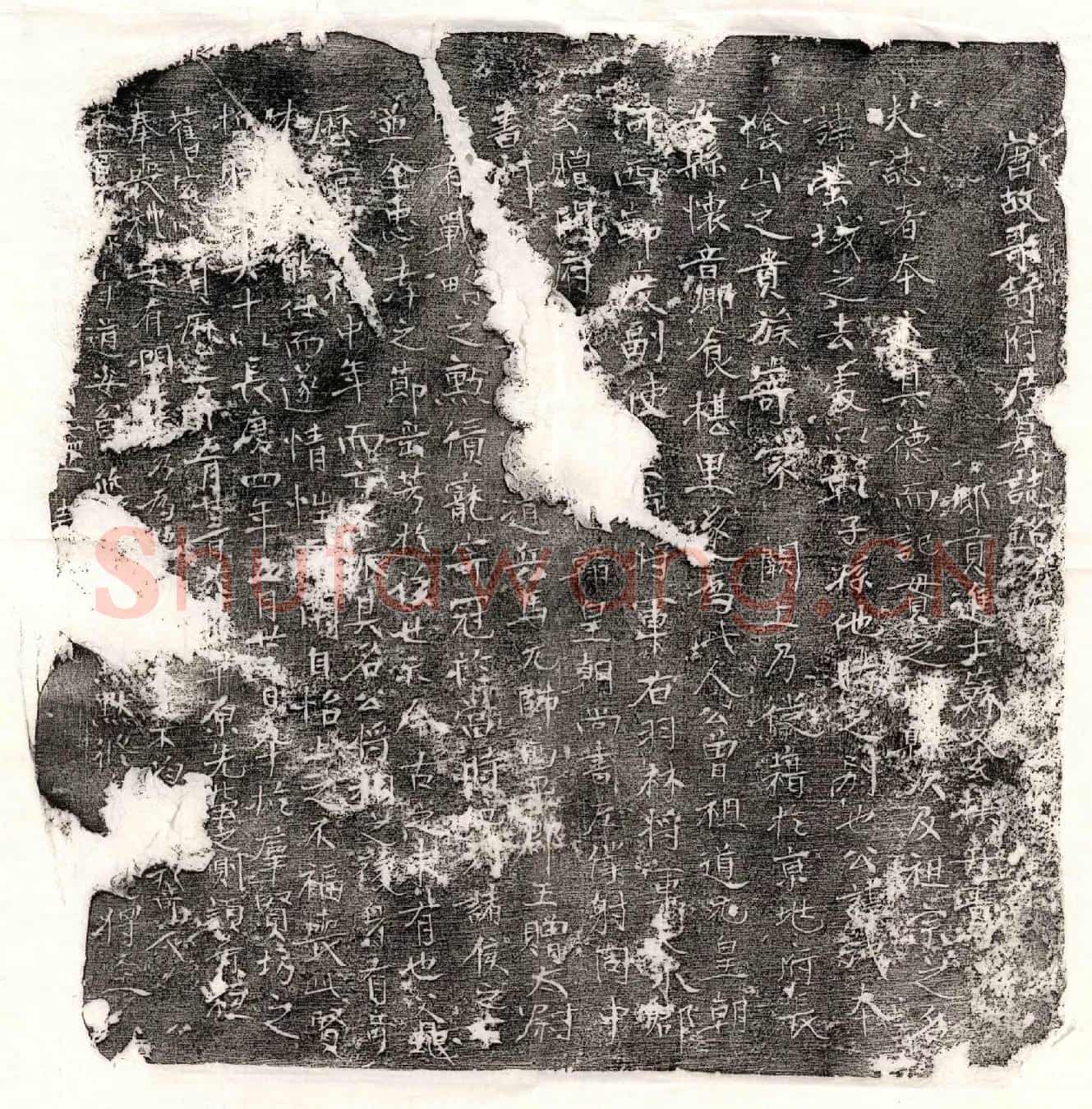 唐哥舒洩墓誌(唐故哥舒府君誌铭并序)