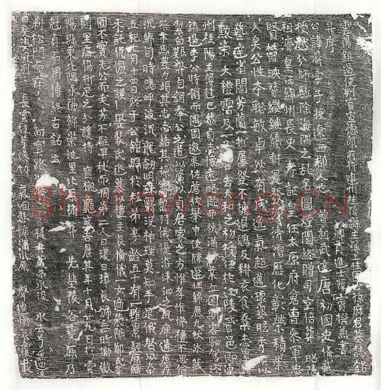 唐公孙鼎墓誌(云阳镇遏使判官宣德郎前行连州桂阳县主簿上柱国公孙府君墓誌铭并序)