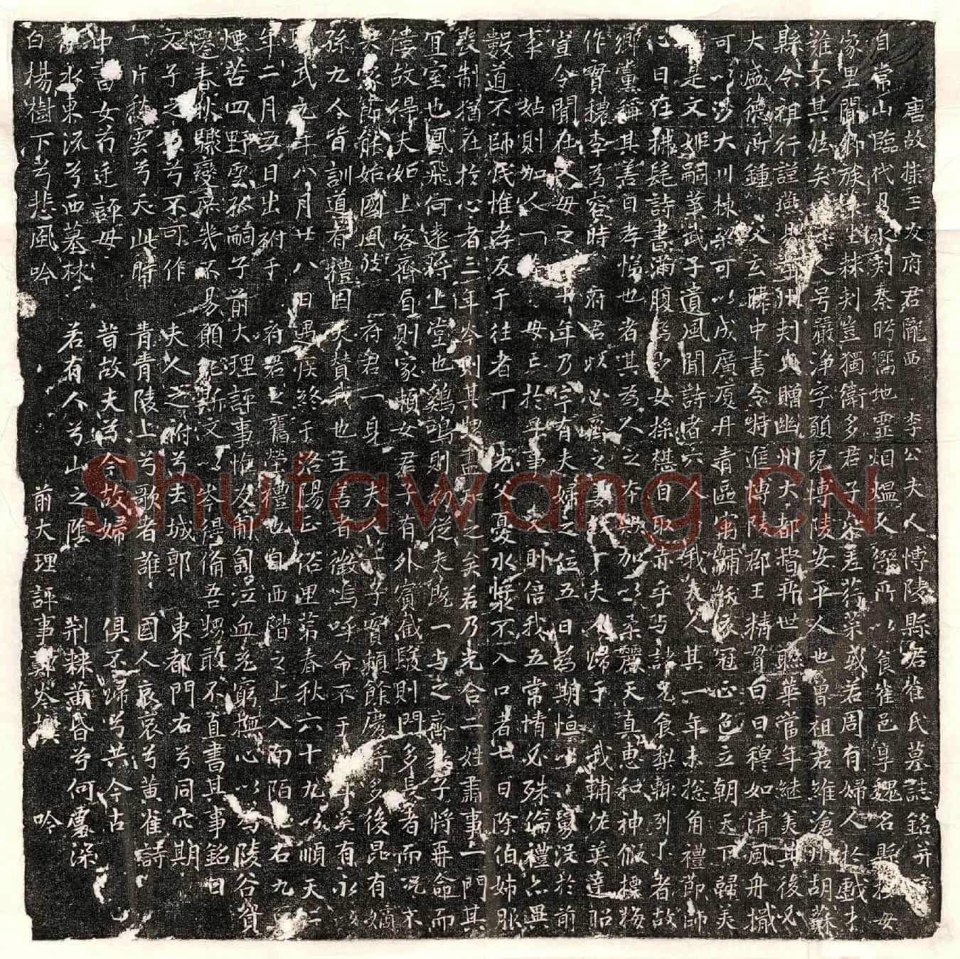 唐李昌庭妻崔严净墓誌(唐故棣王友府君陇西李公夫人博陵县君崔氏墓誌铭并序)
